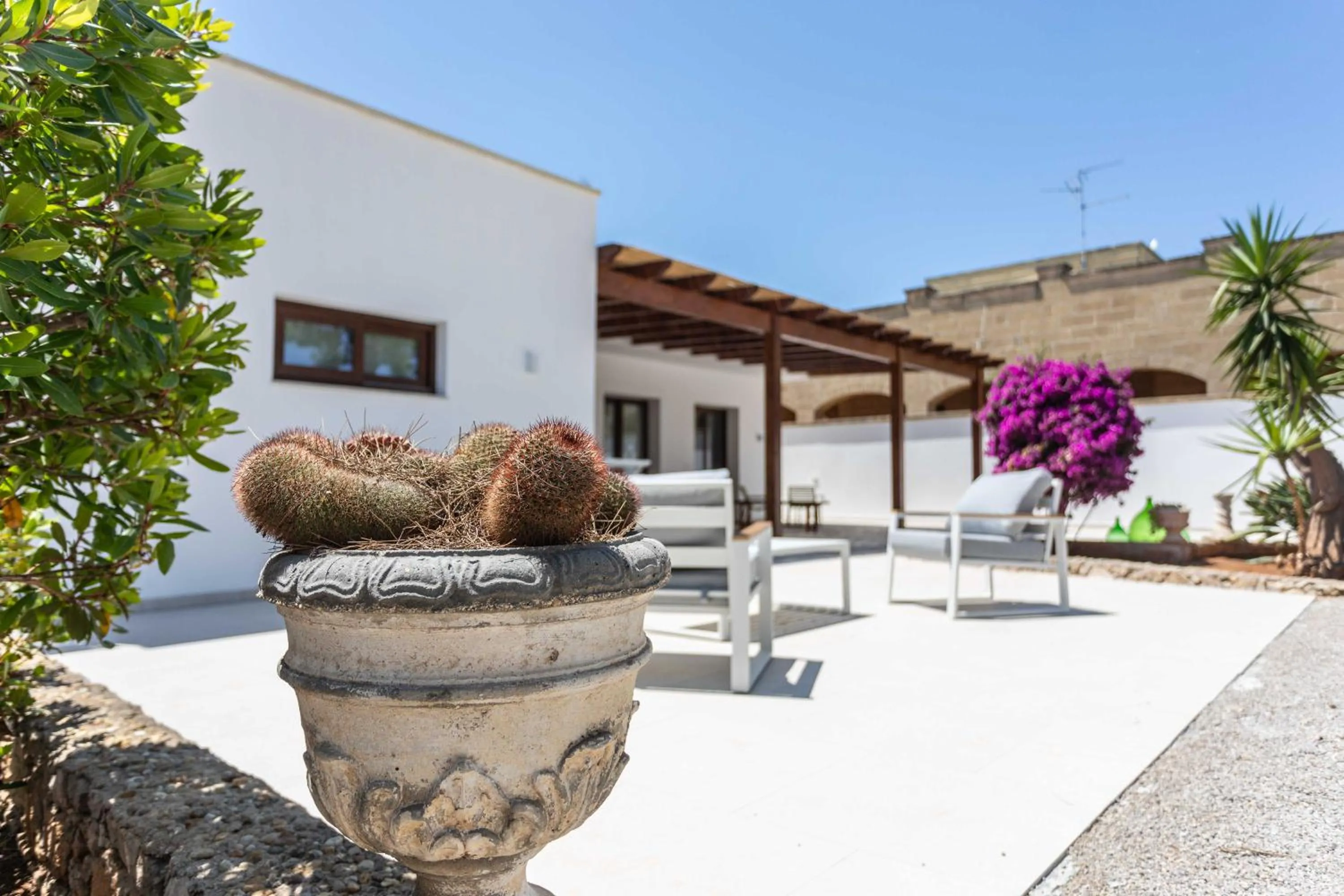 Garden in B&B Villa Massimo