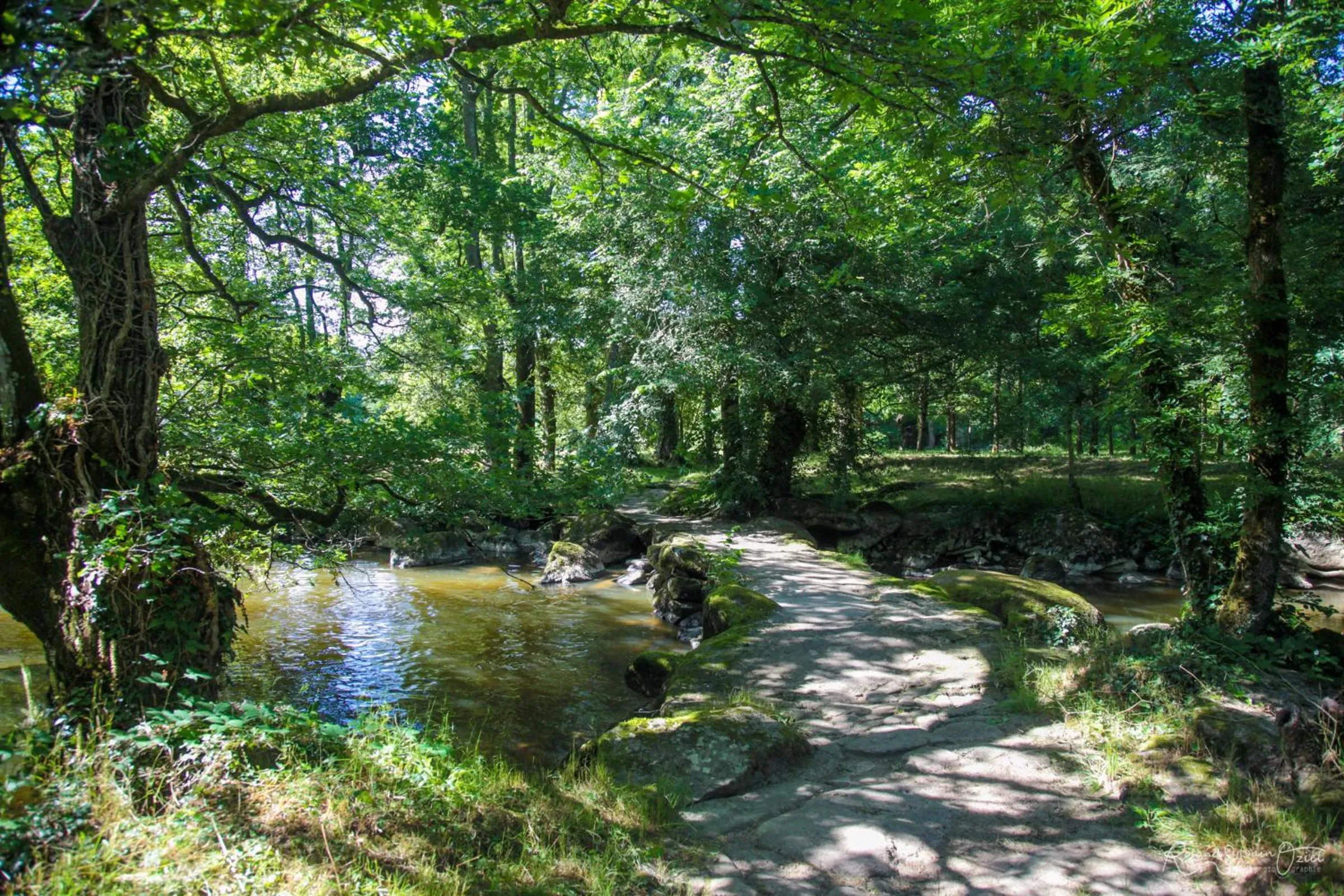 Natural landscape in Logis Hôtel La Chaumière