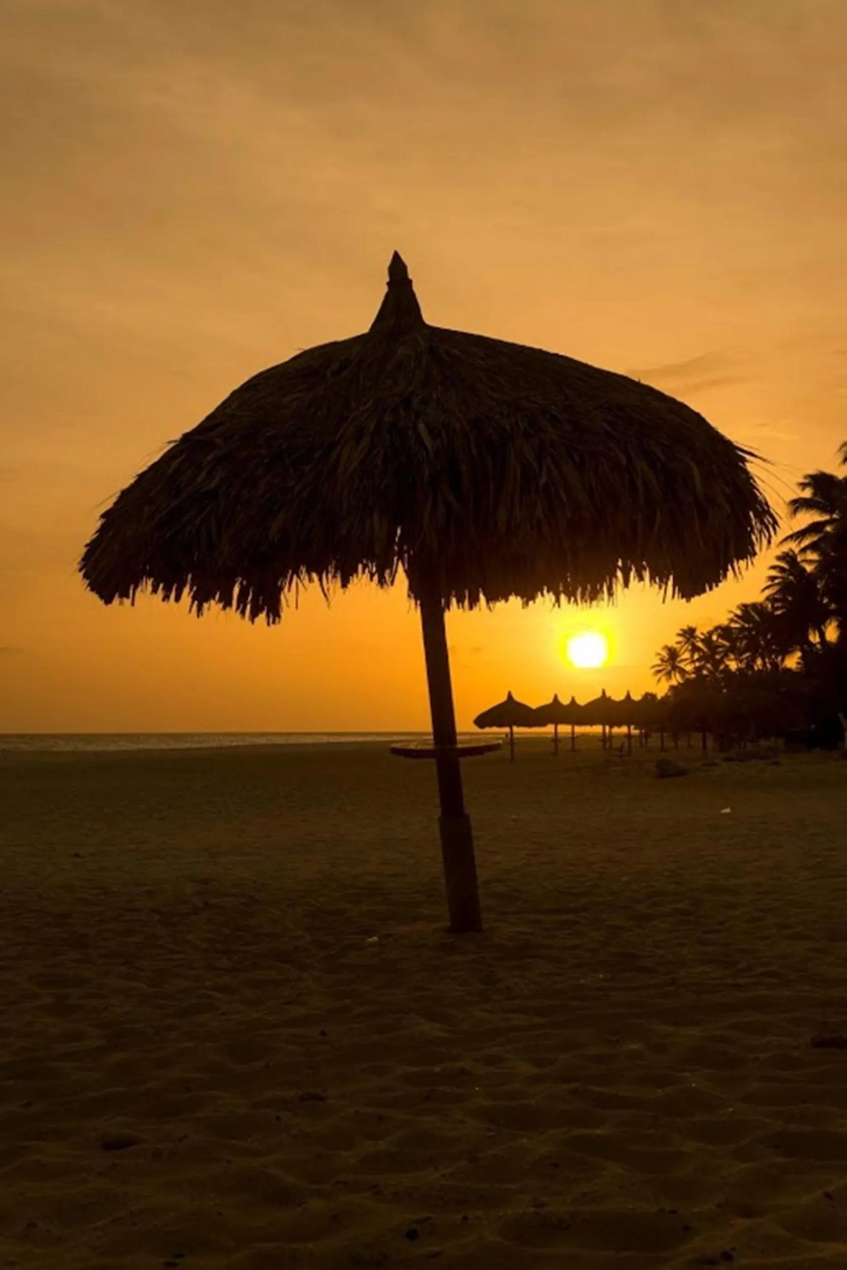 Beach in Divi Dutch Village Beach Resort