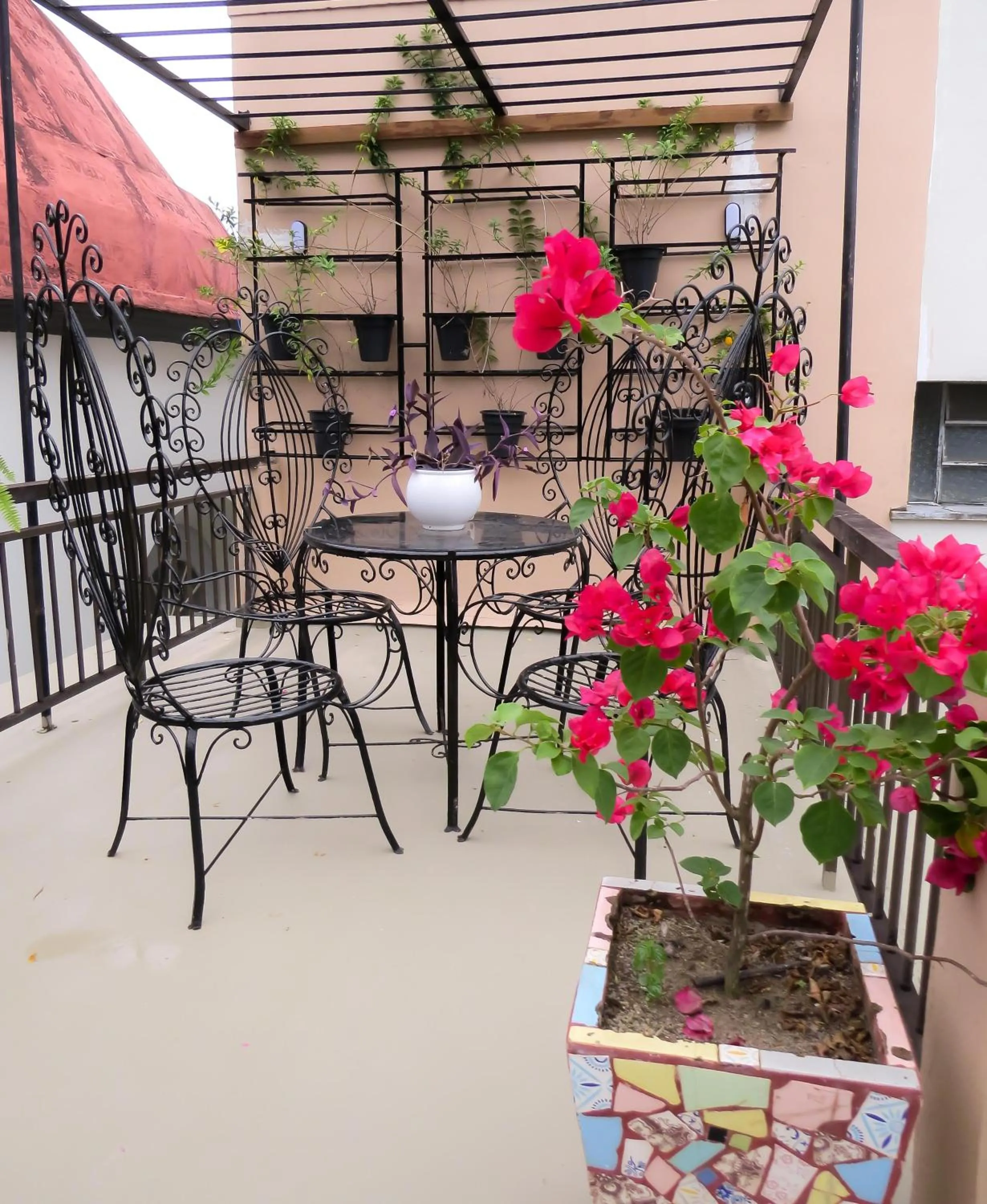 Solarium in Hotel Casa Dos Frades