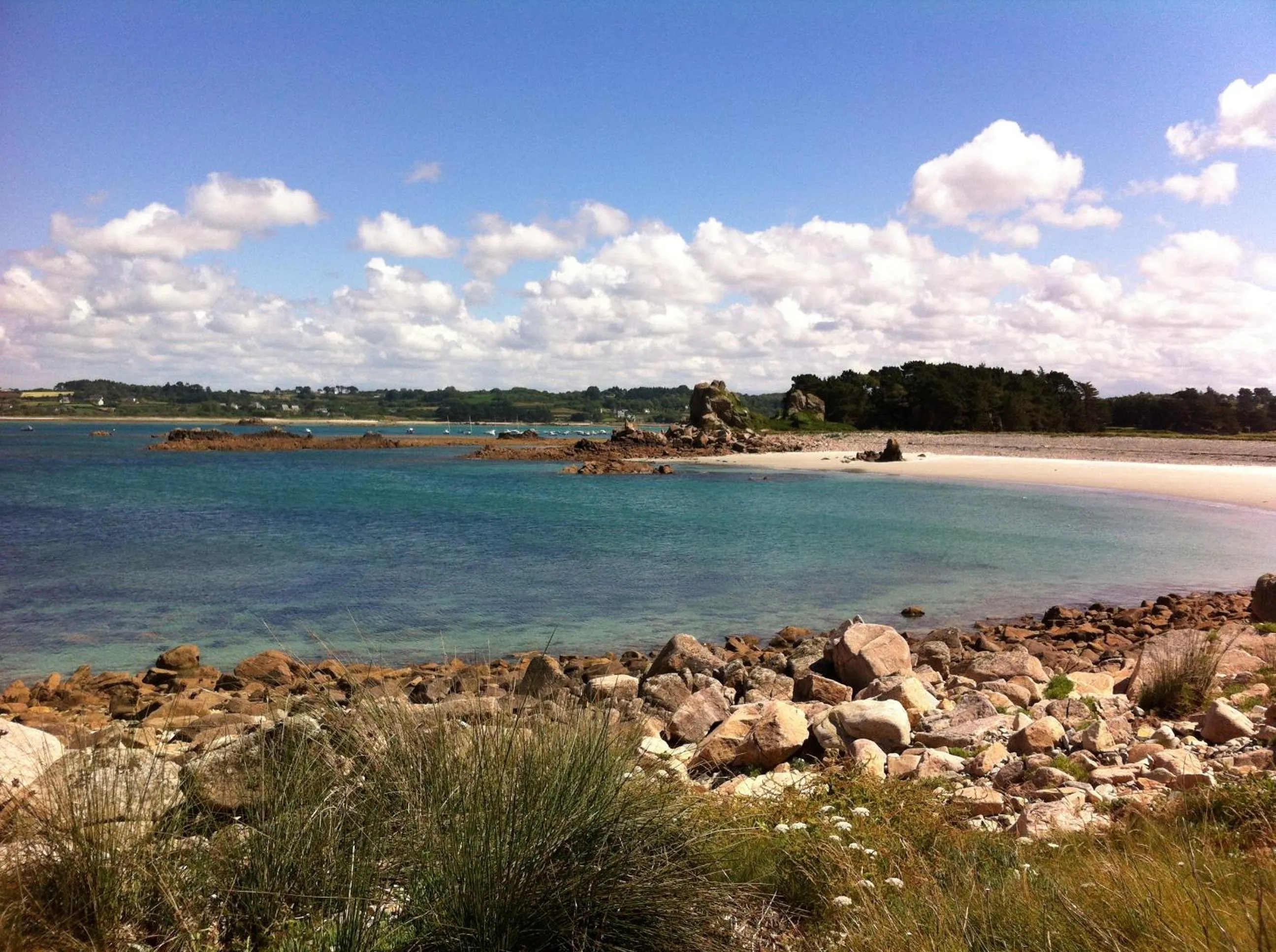 Natural landscape in Invitation au Rivage