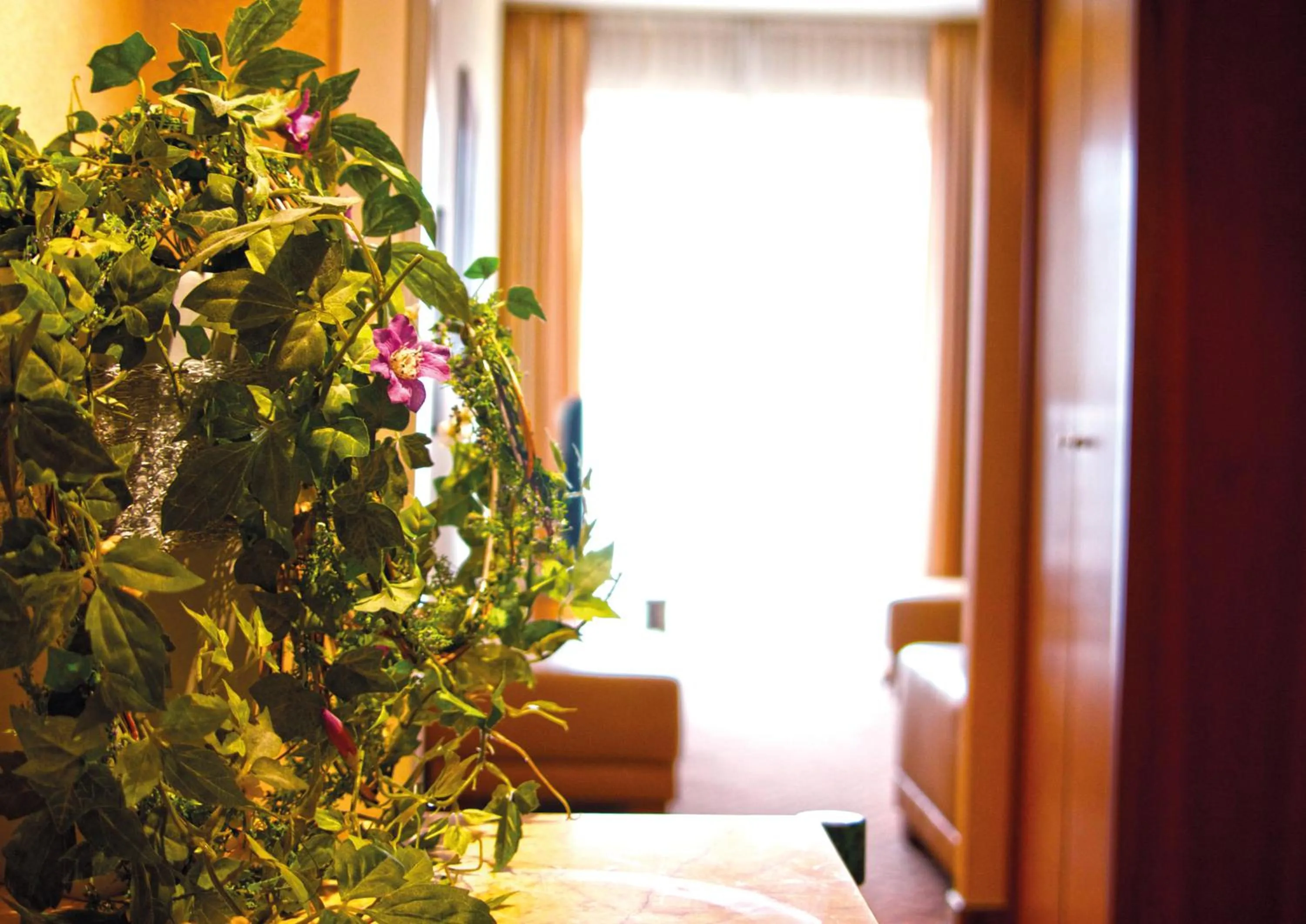 Area and facilities in Mercure Hotel Gera City