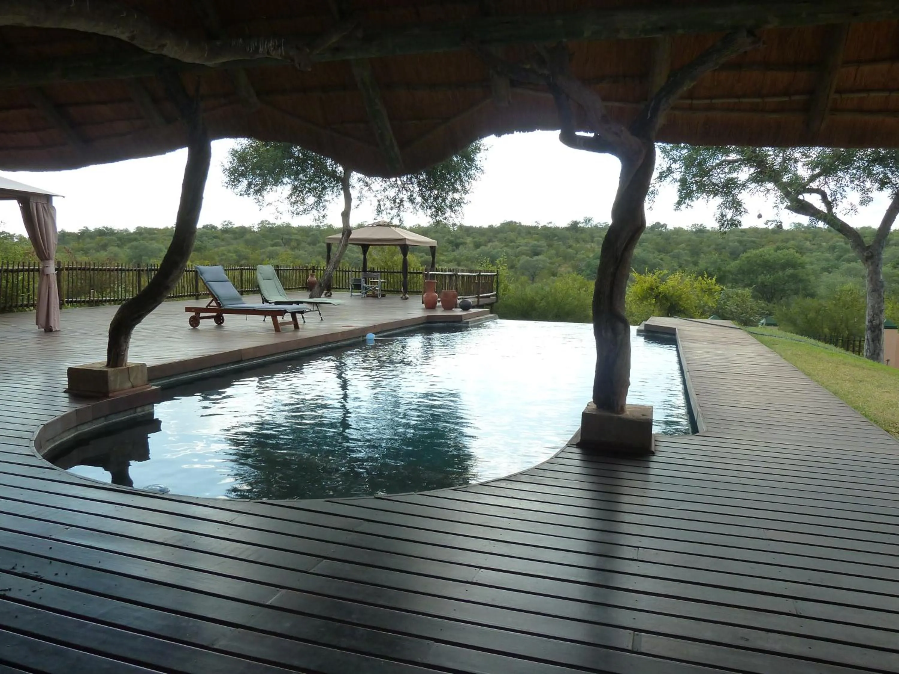 Swimming pool in Muweti Bush Lodge