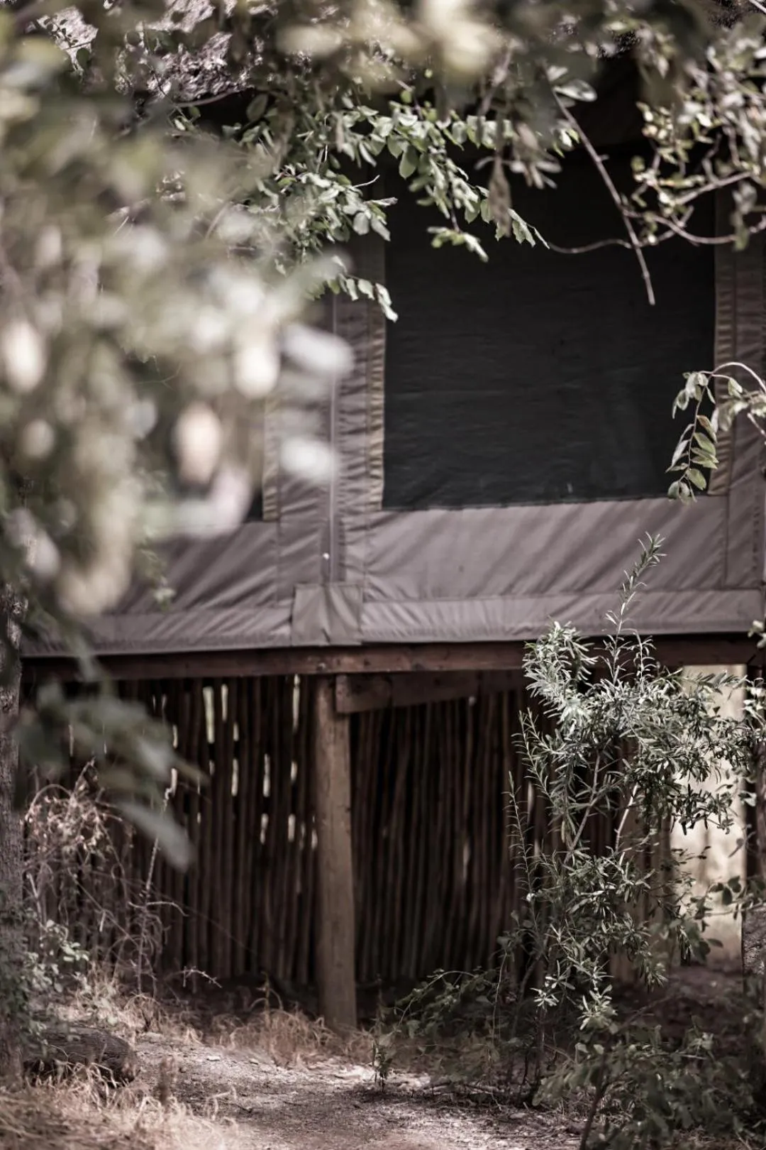 View (from property/room) in Muweti Bush Lodge