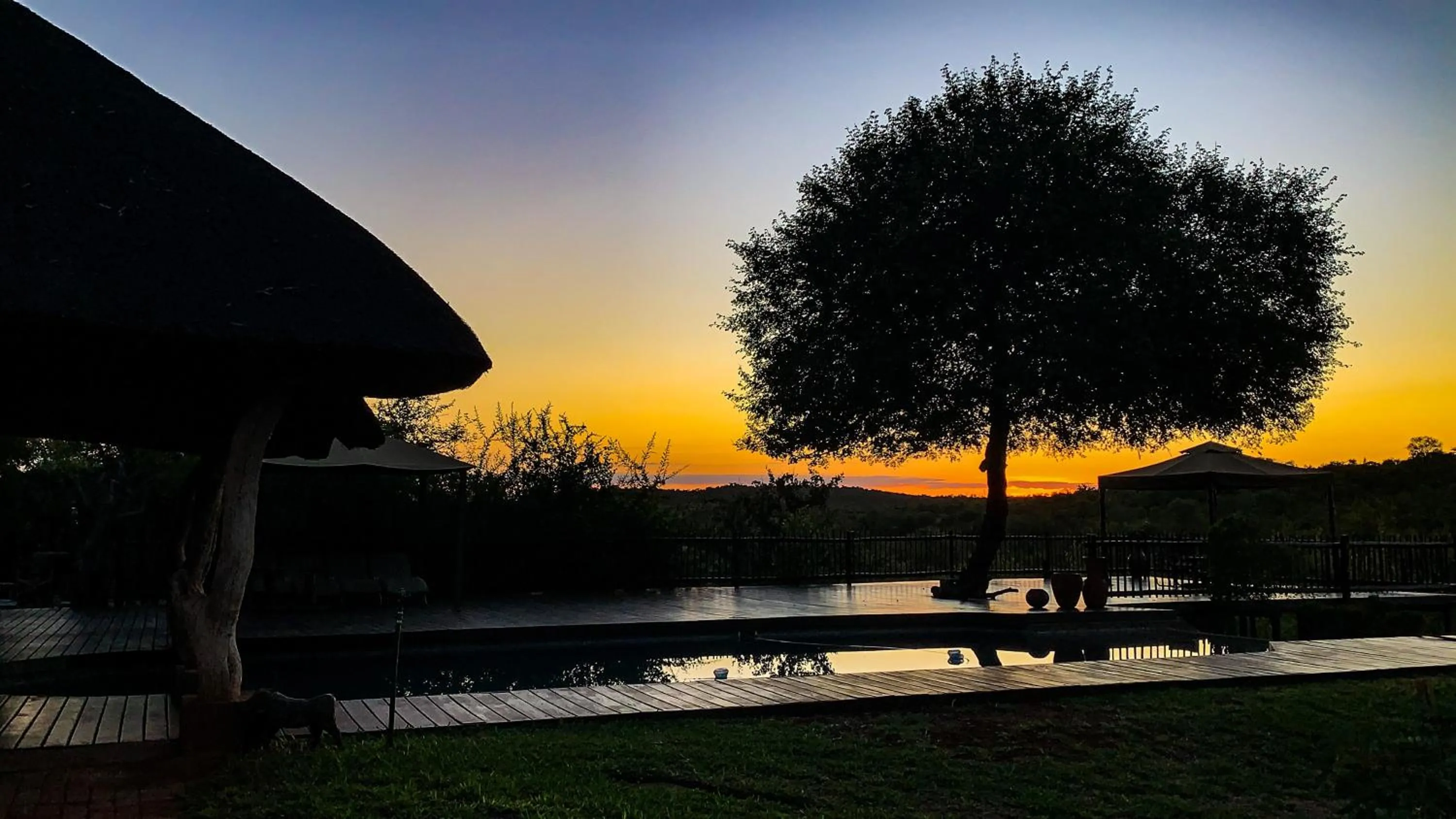 Pool view in Muweti Bush Lodge