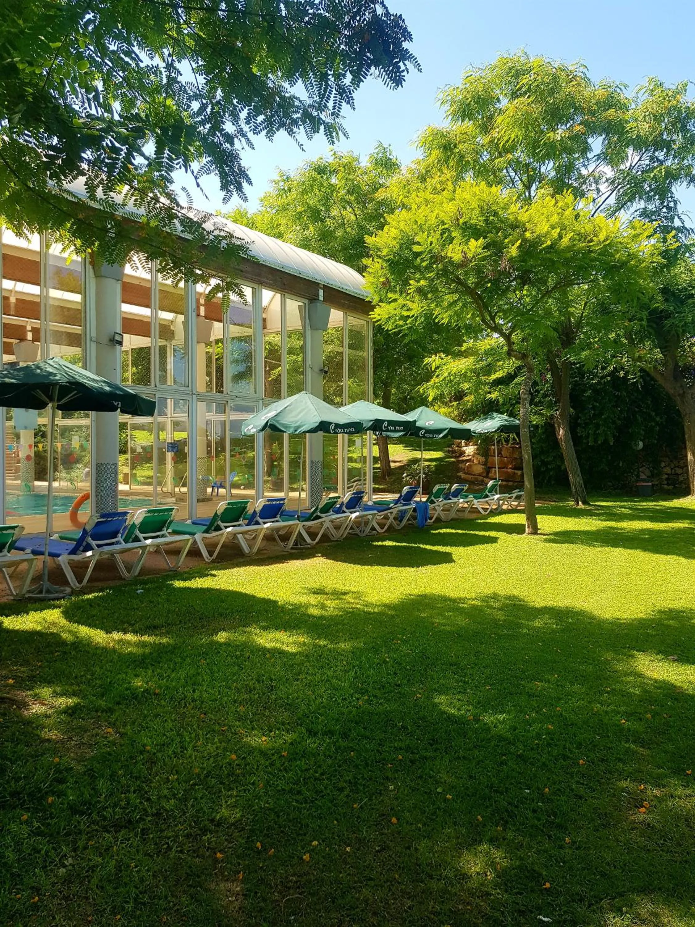 Garden in neot golf kz place