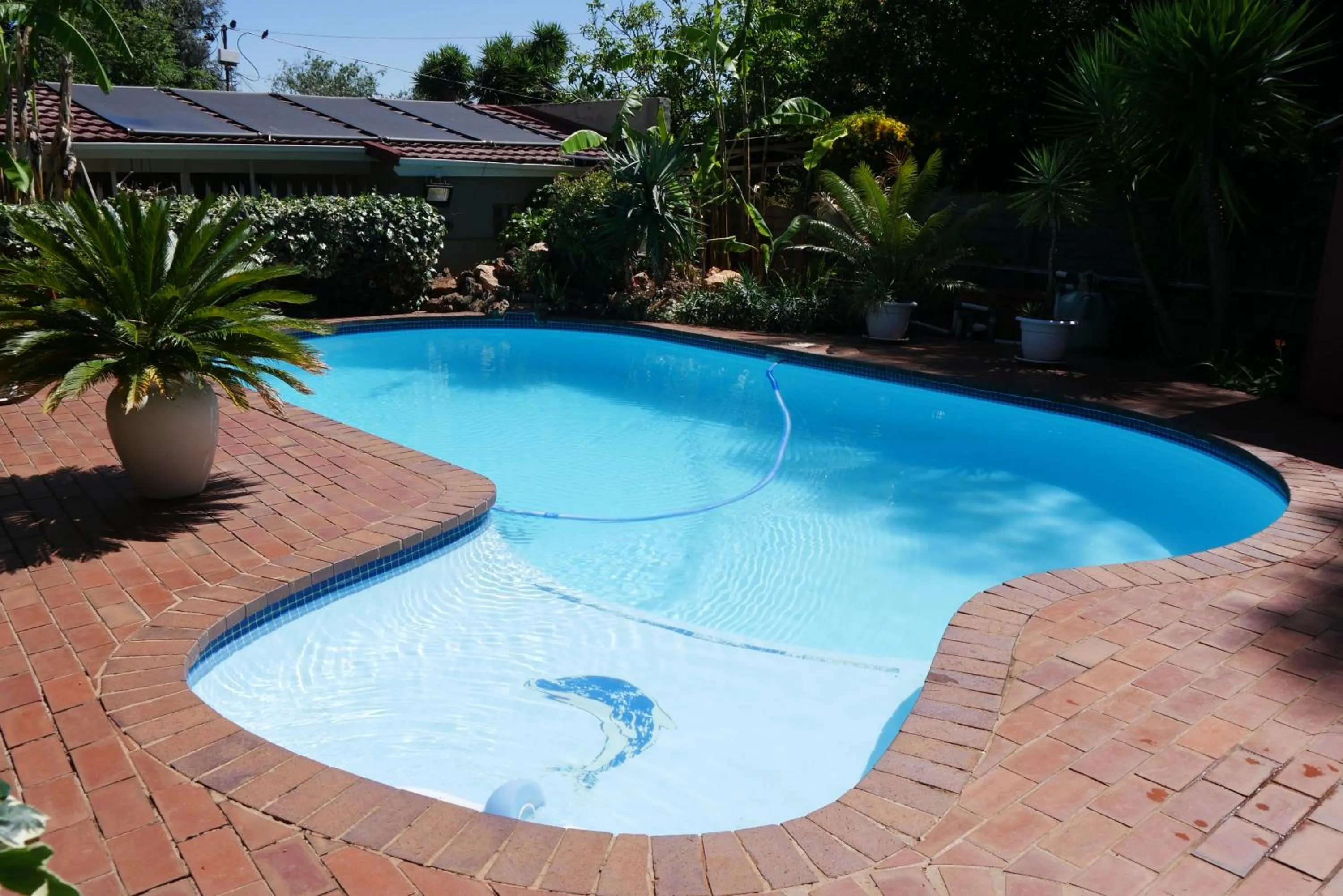 Pool view in Margaret's Place