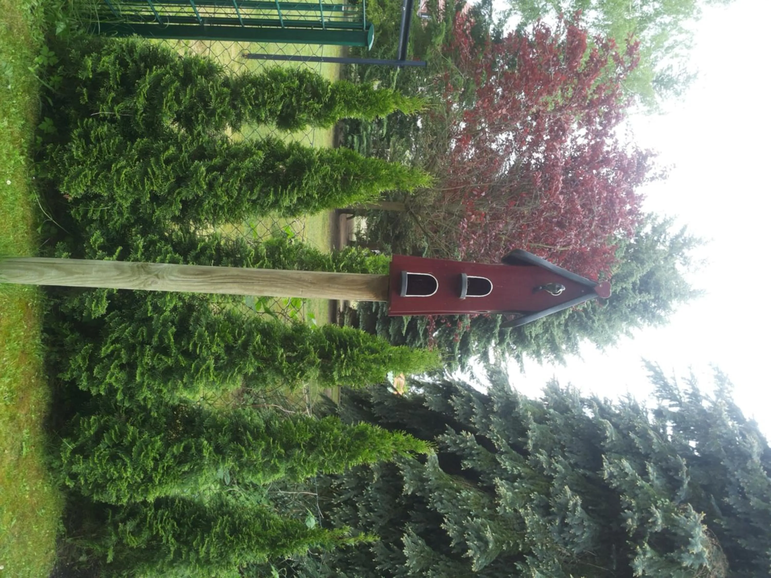 Garden view in Port Inn Hotel