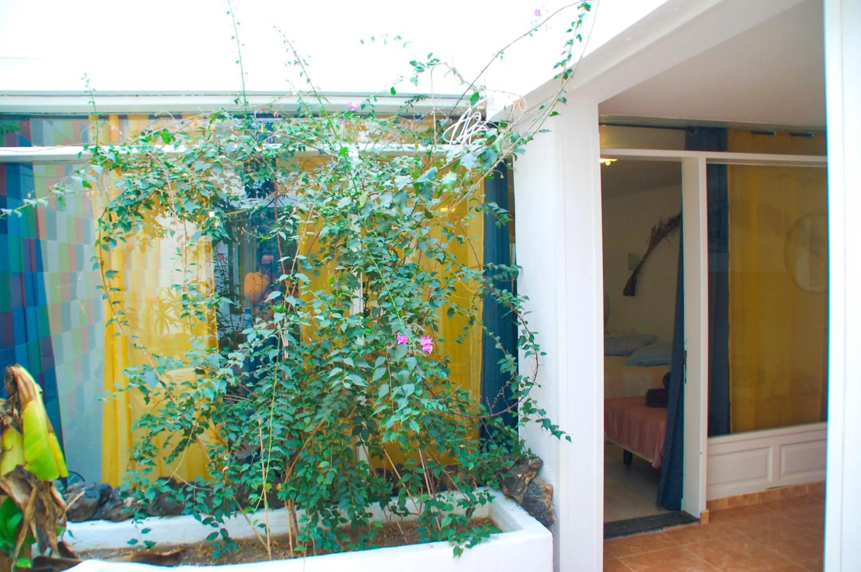 Patio in HOTELITO RURAL GA7COLORES only adult