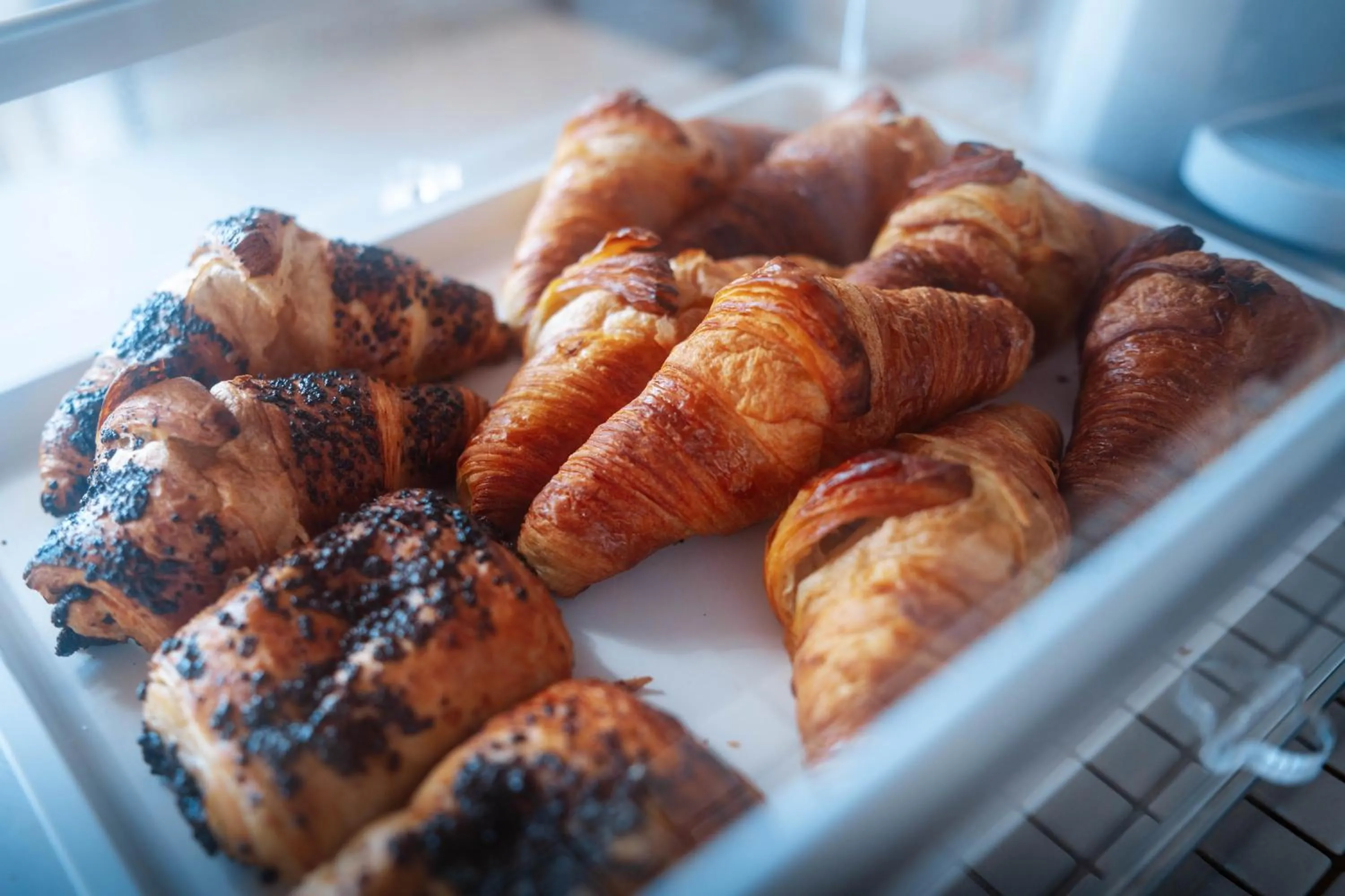 Restaurant/places to eat in HOTELITO RURAL GA7COLORES only adult