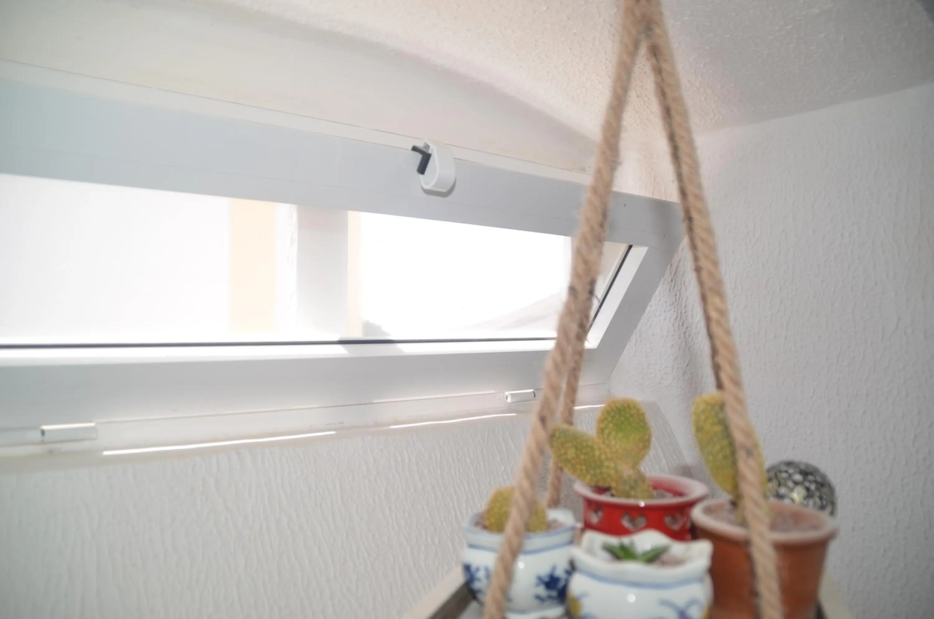 Decorative detail in HOTELITO RURAL GA7COLORES only adult