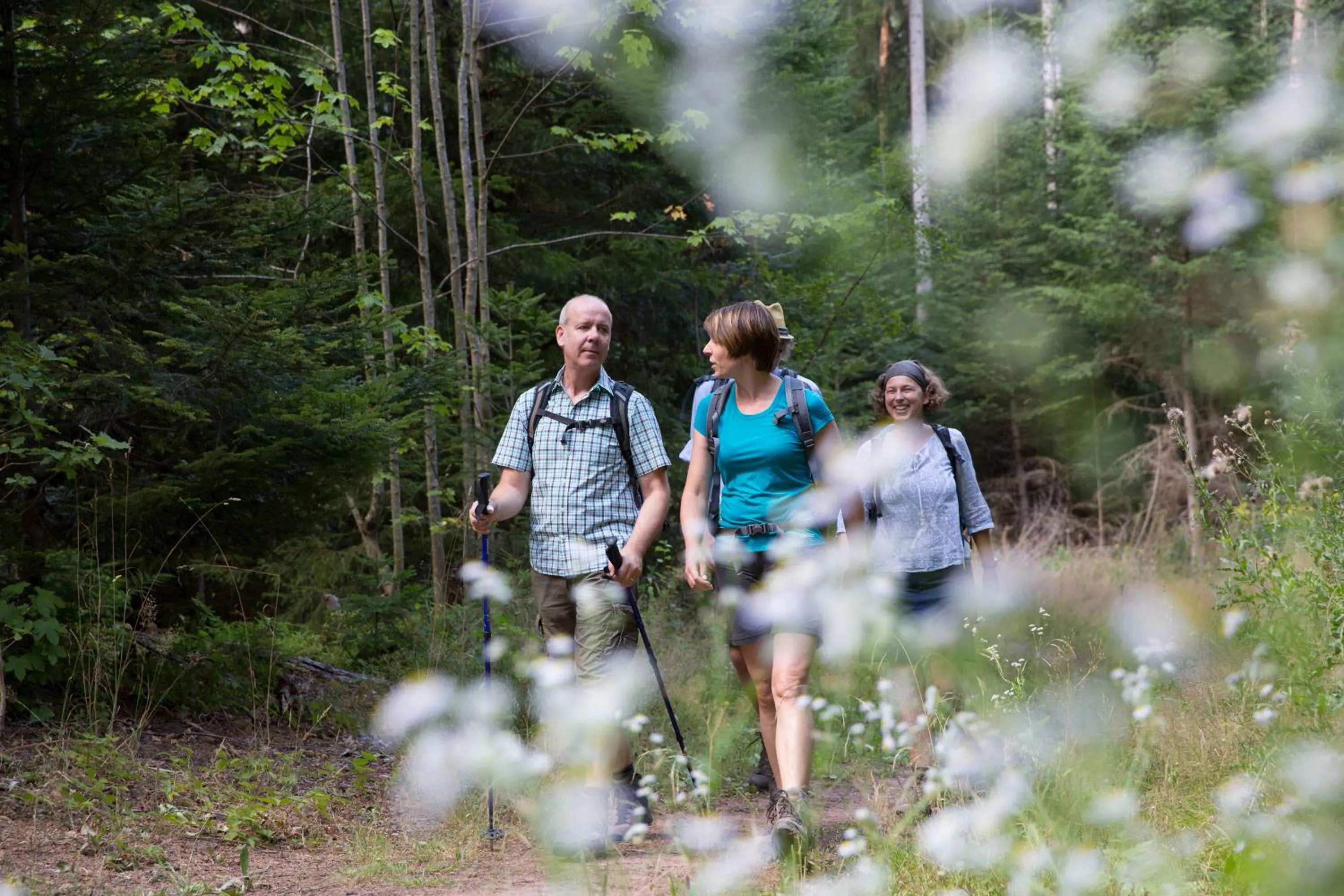 Hiking in Wellness-Hotel Talblick