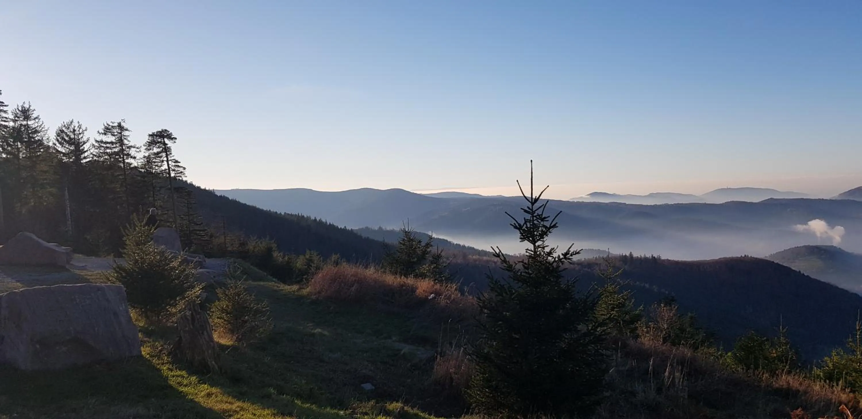 Natural landscape in Wellness-Hotel Talblick