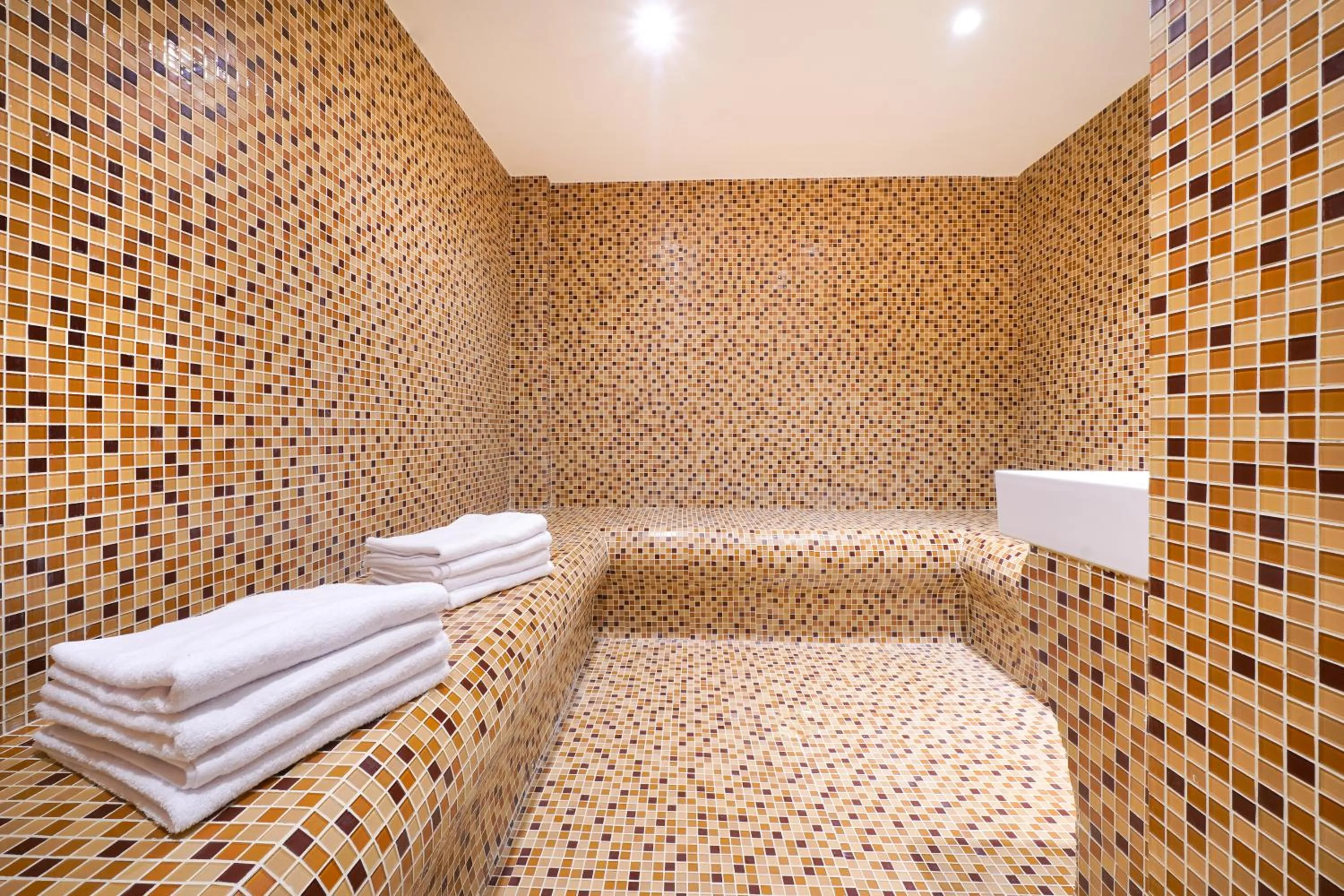 Sauna, Bed in Hotel ASTERA