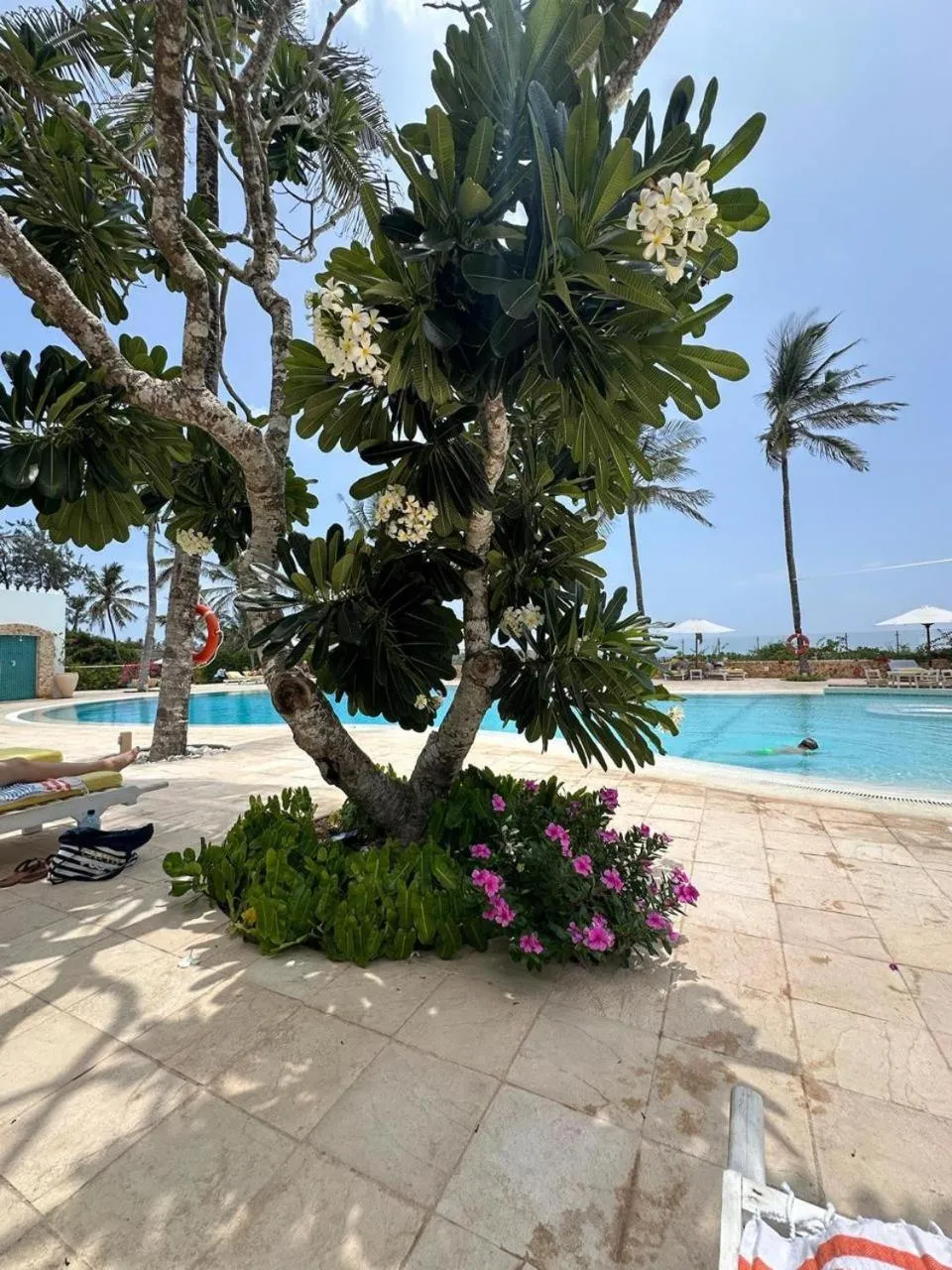 Swimming pool in Ocean Sports Resort