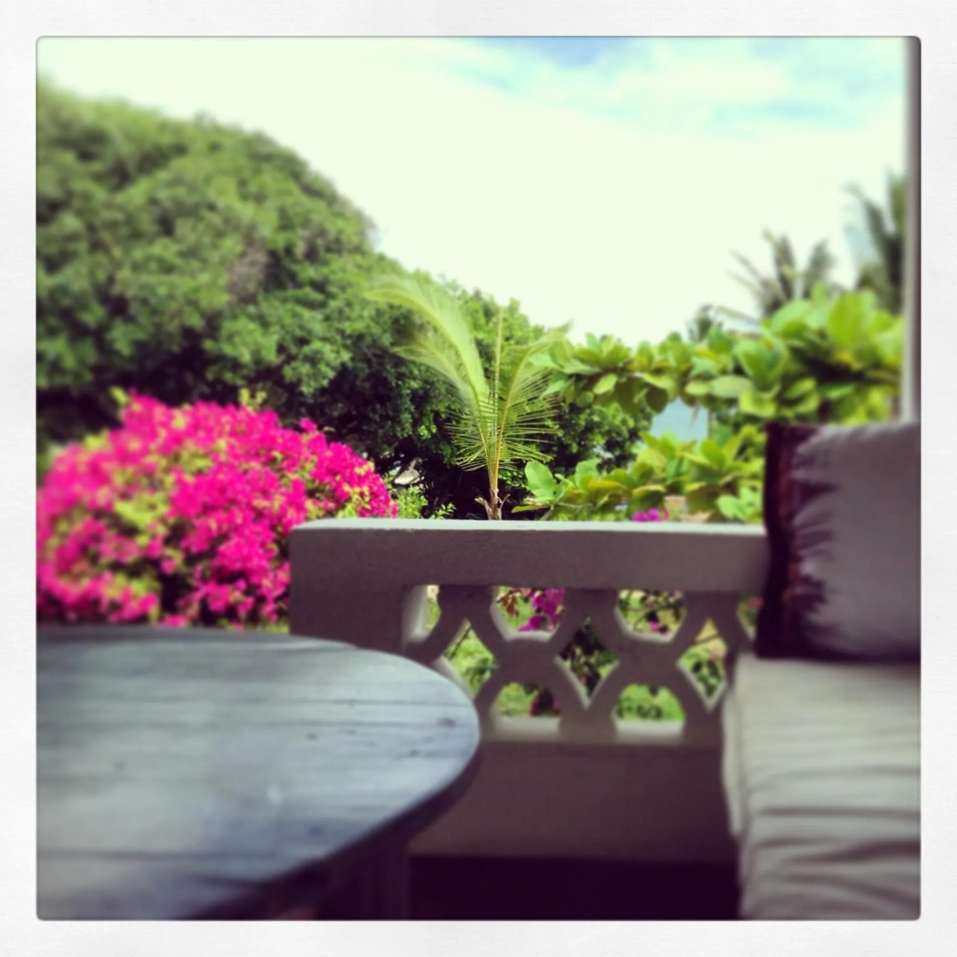 Garden in Ocean Sports Resort