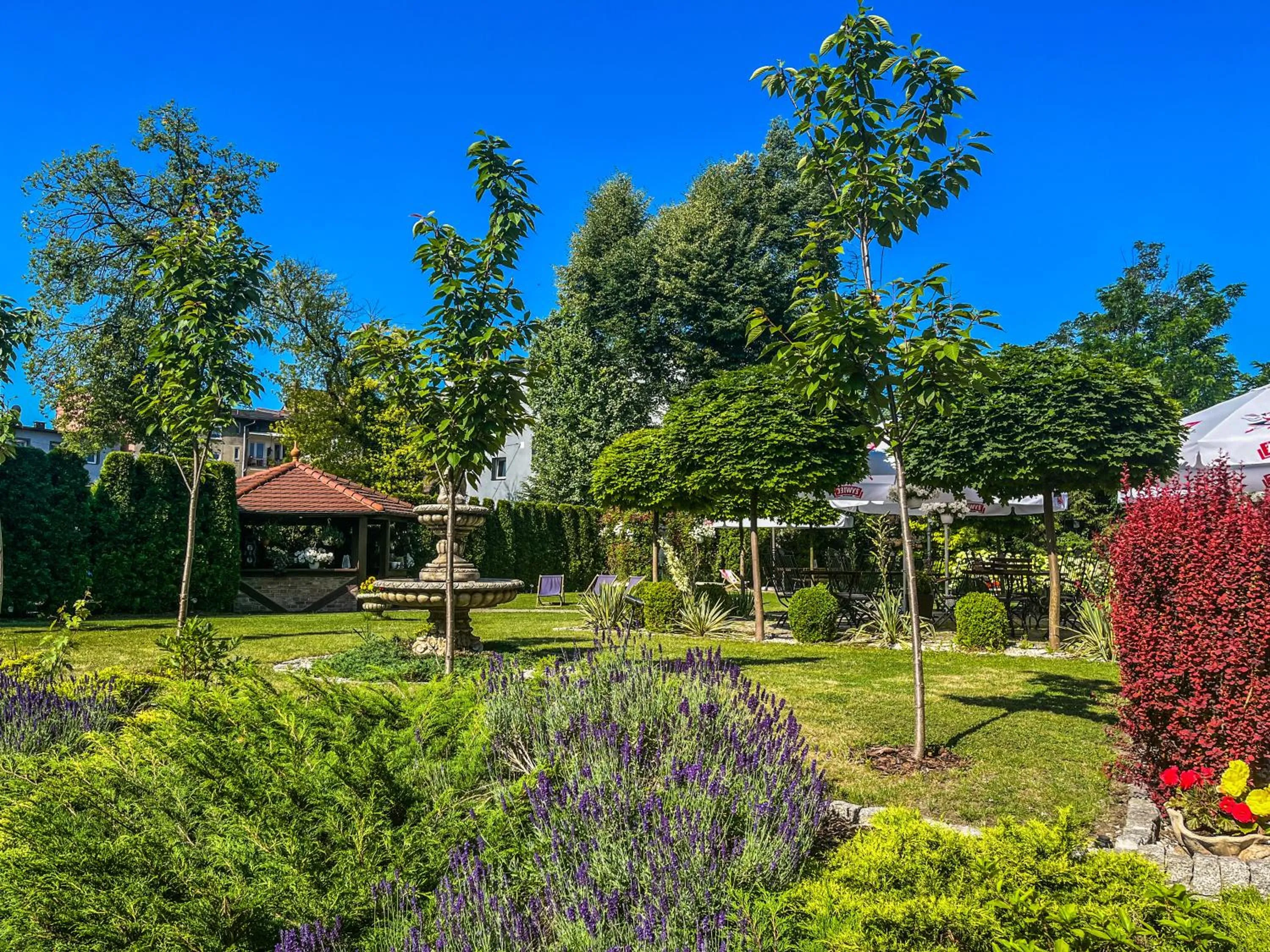 Garden in Hotel Adria