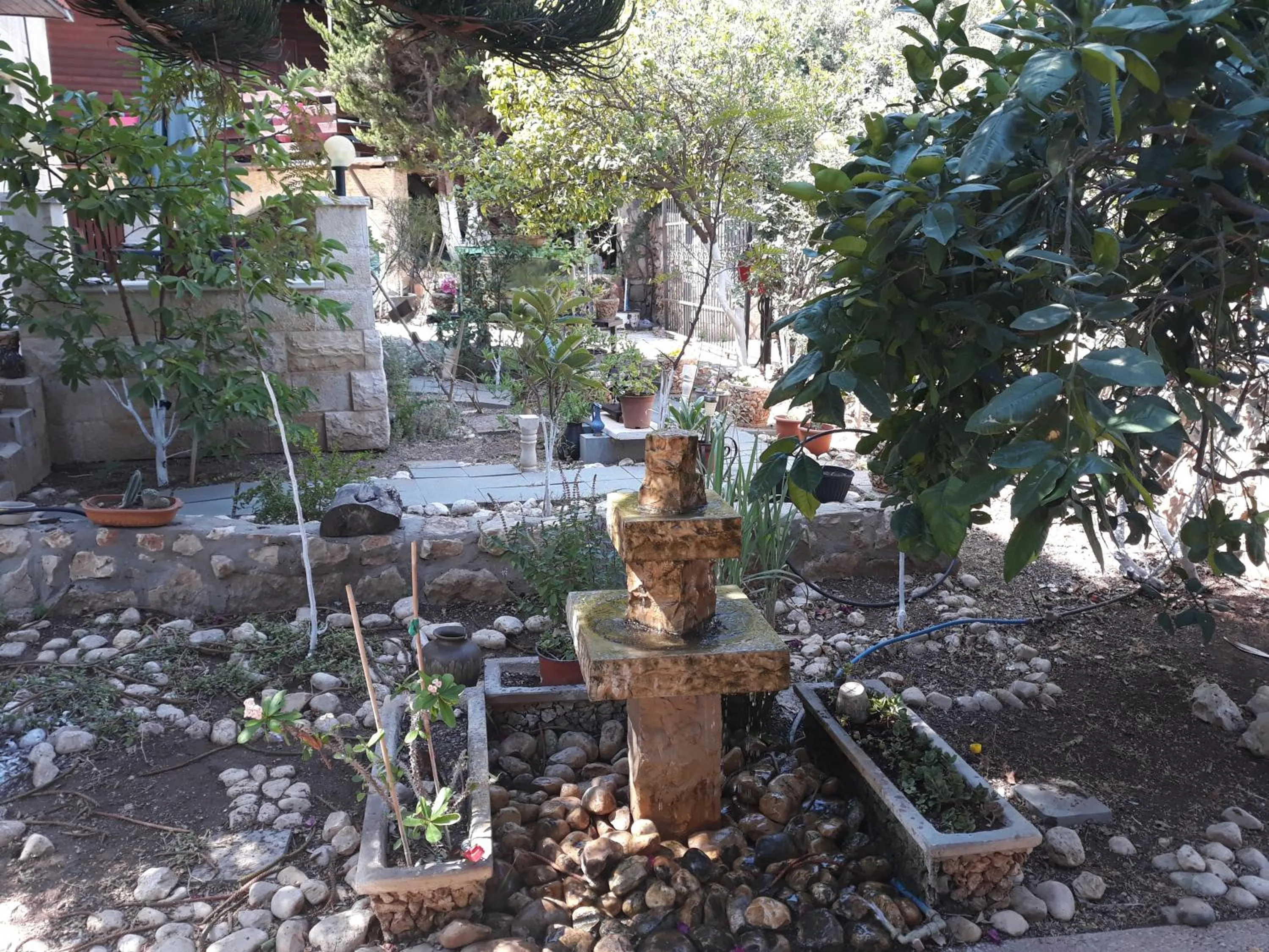 Garden view in Tamer Guest house