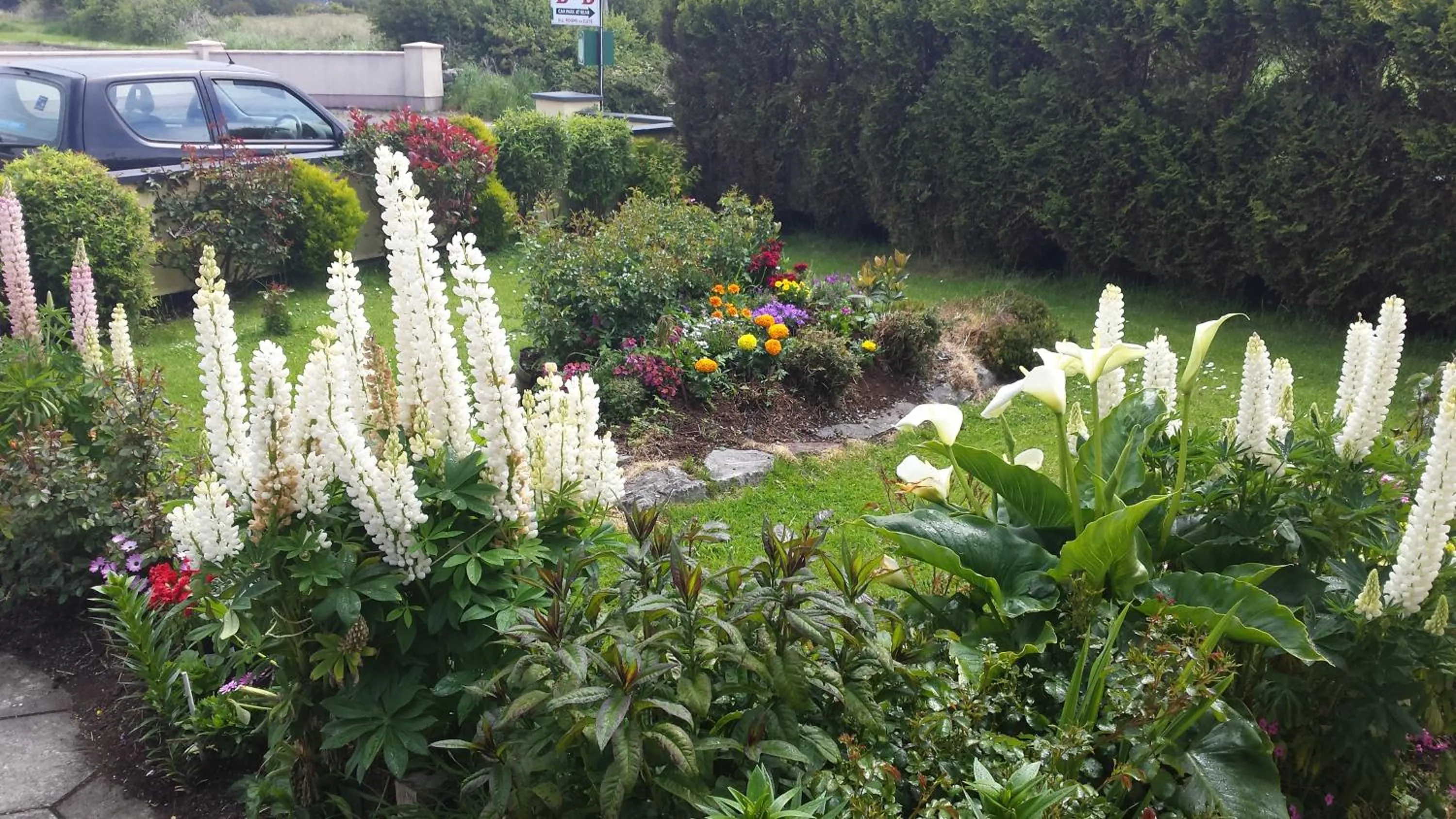 Garden in Riverwalk House B&B