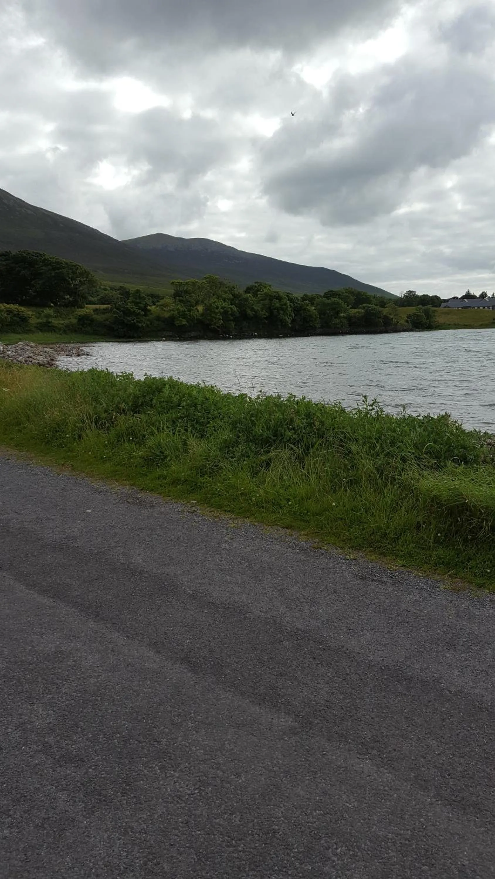 Mountain view in Riverwalk House B&B