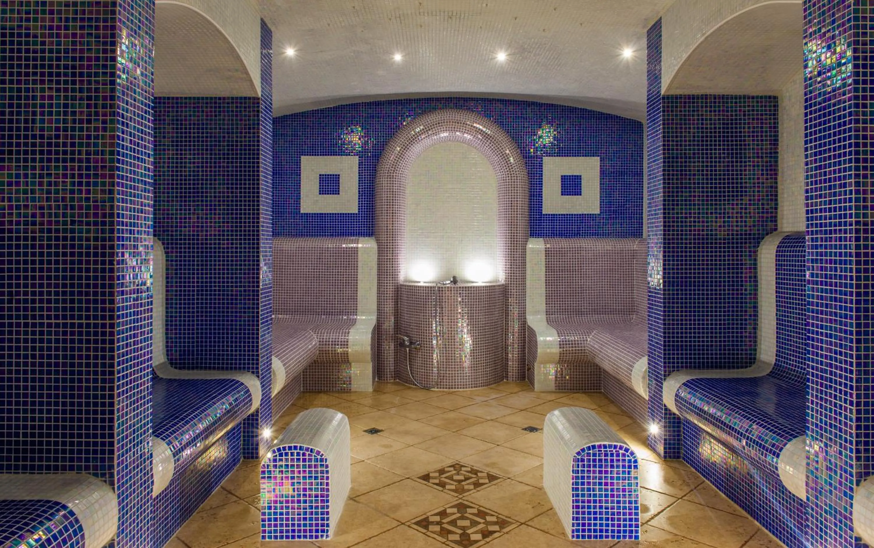 Spa and wellness centre/facilities in Royal Spa Hotel