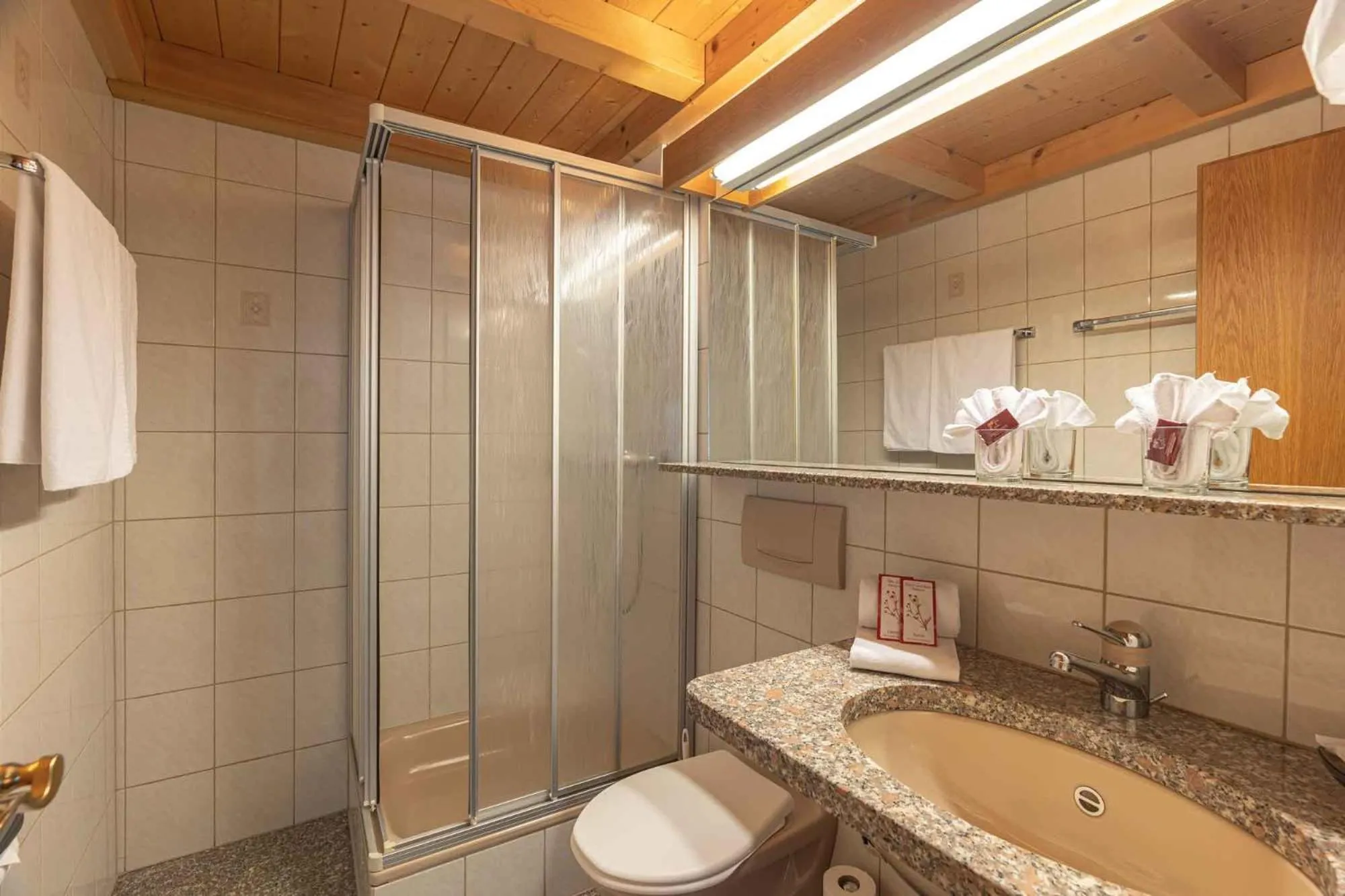 Shower in Aktiv- und Genusshotel Alpenblick