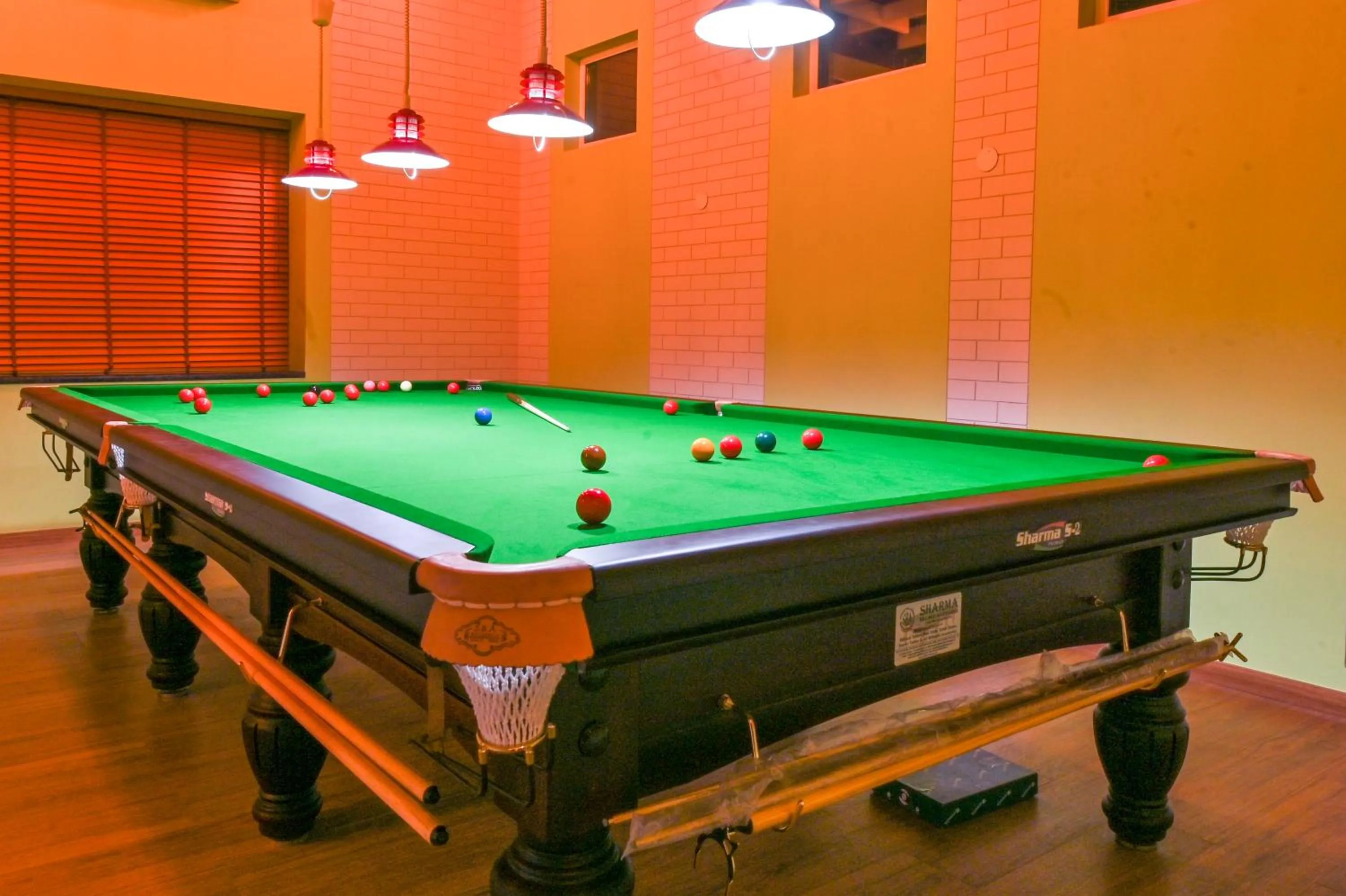 Game Room in Four A Resort Jammu