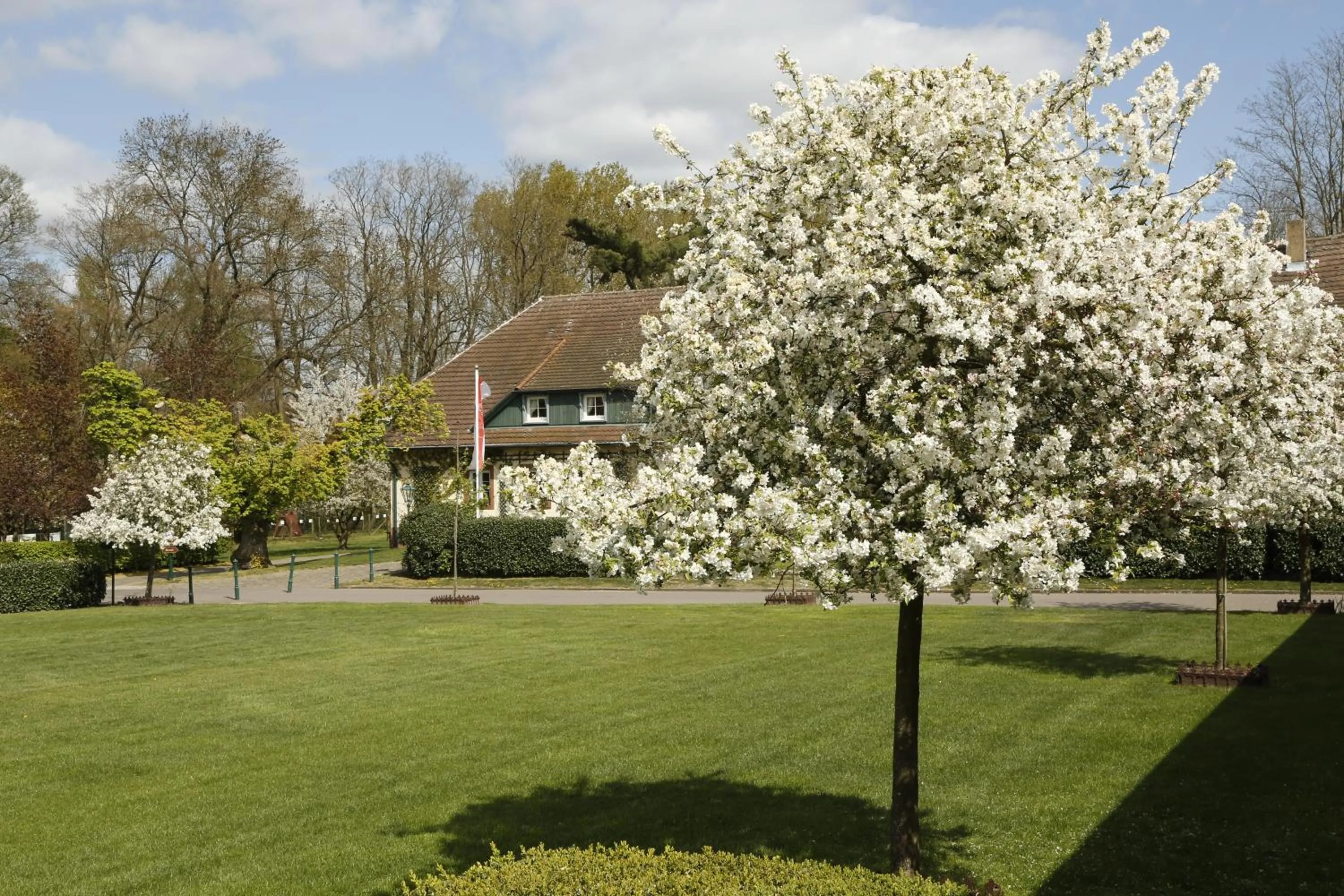 Patio in Der Linslerhof - Hotel, Restaurant, Events & Natur