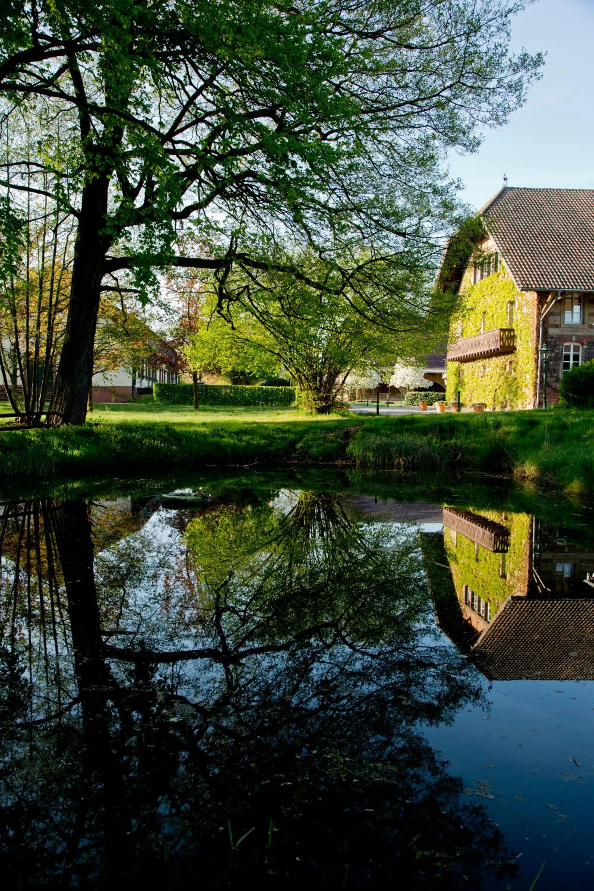 Garden in Der Linslerhof - Hotel, Restaurant, Events & Natur