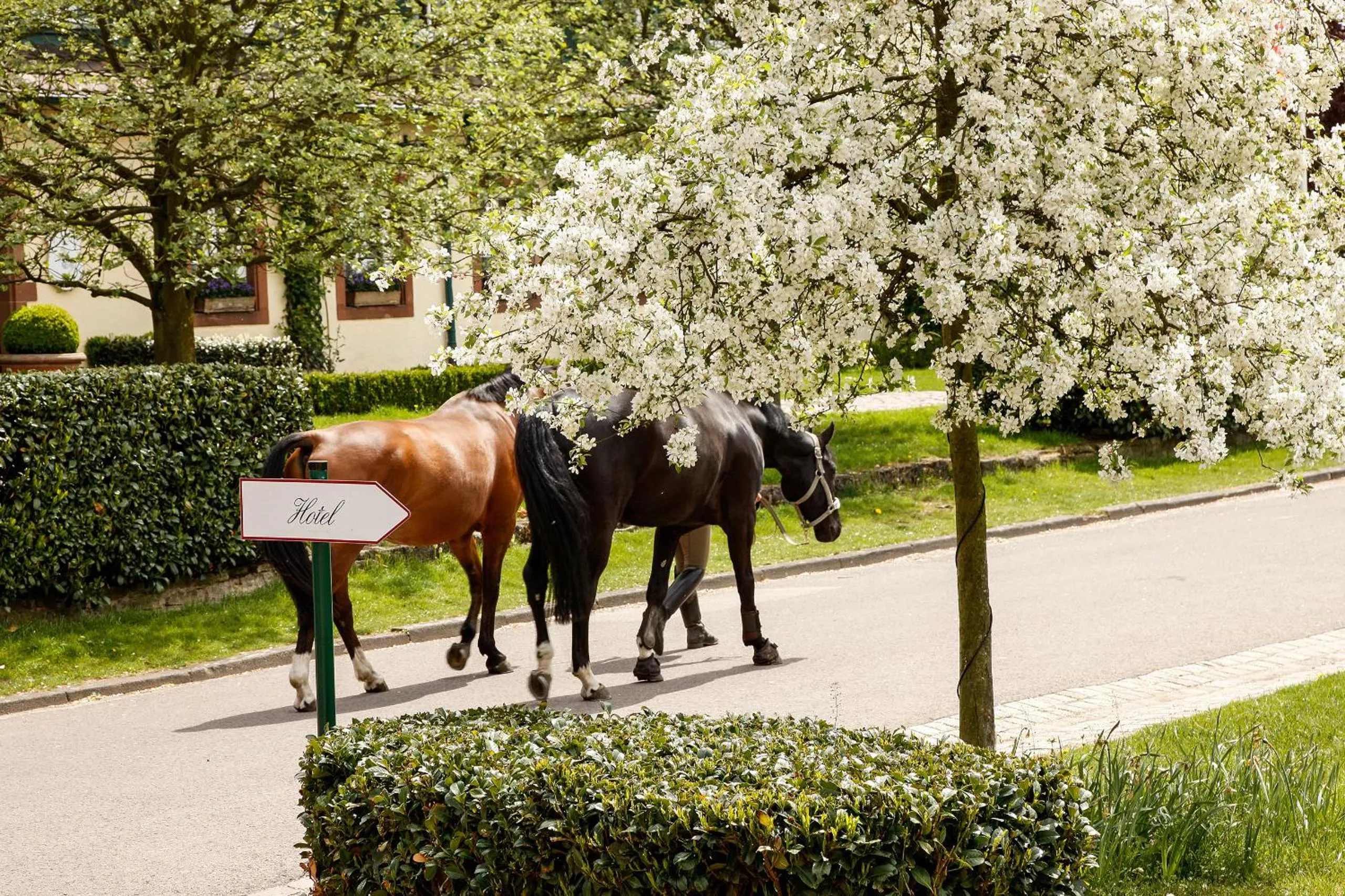 Garden in Der Linslerhof - Hotel, Restaurant, Events & Natur