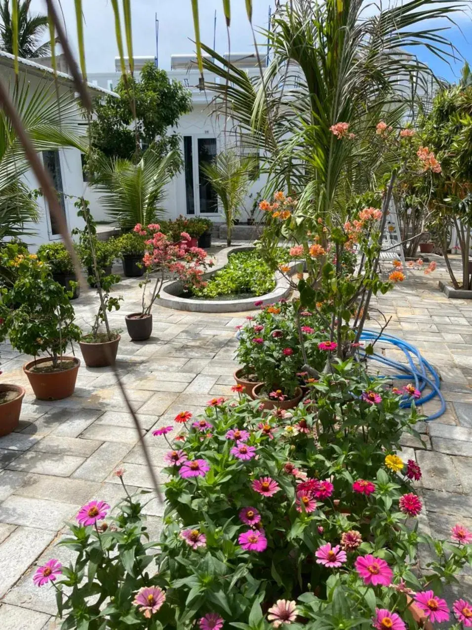 Quadruple Room with Garden View in Windy hills hotel Quadruple Room with Garden View in Windy hills hotel