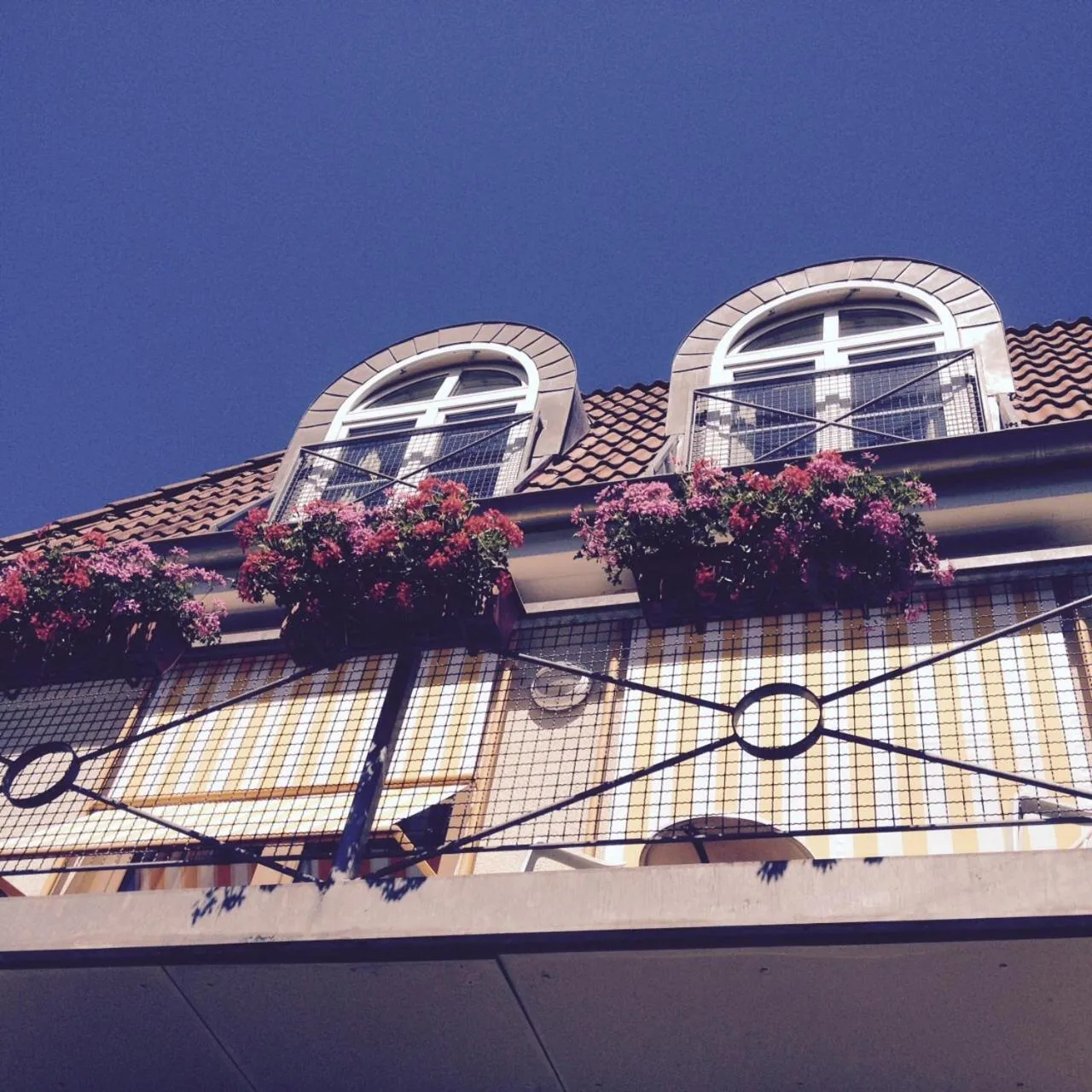 Property building in Parkhotel Flora