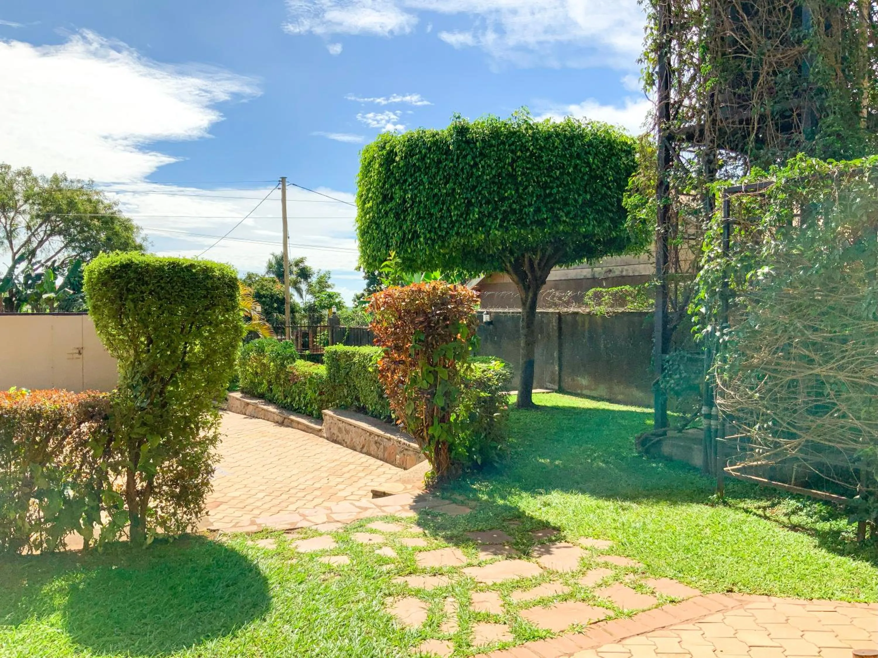Garden view in Hendo Hotel