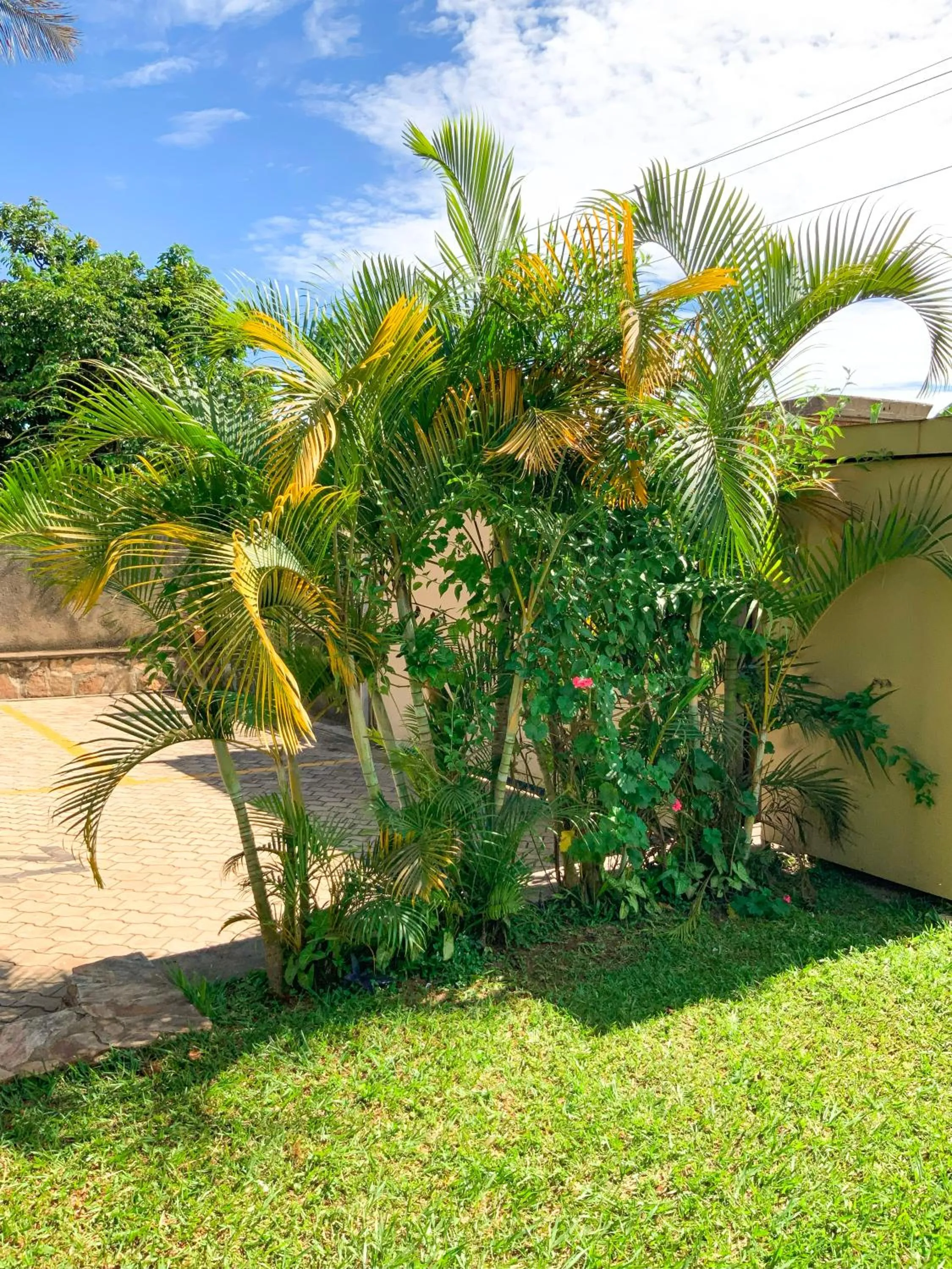 Garden in Hendo Hotel