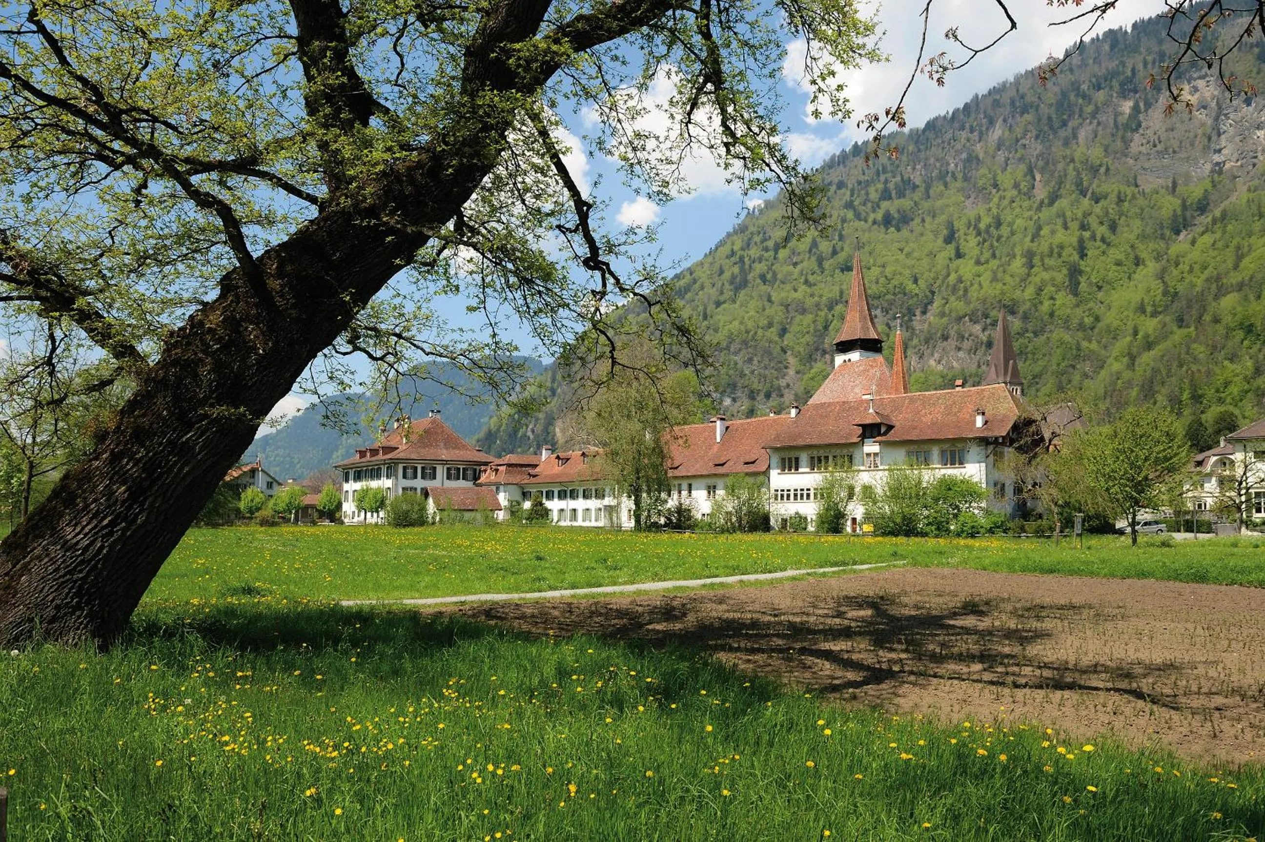 Natural landscape in Hotel Artos Interlaken