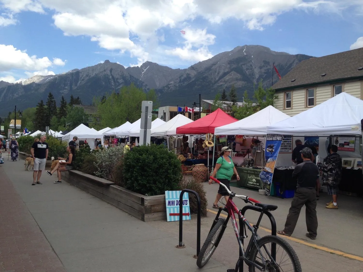 Supermarket/grocery shop in Apartment 406, Indigenous Artefacts