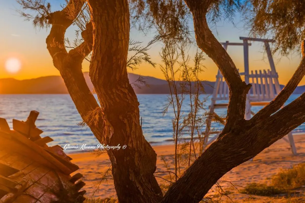 Beach in Mikri Vigla Hotel Beach Resort
