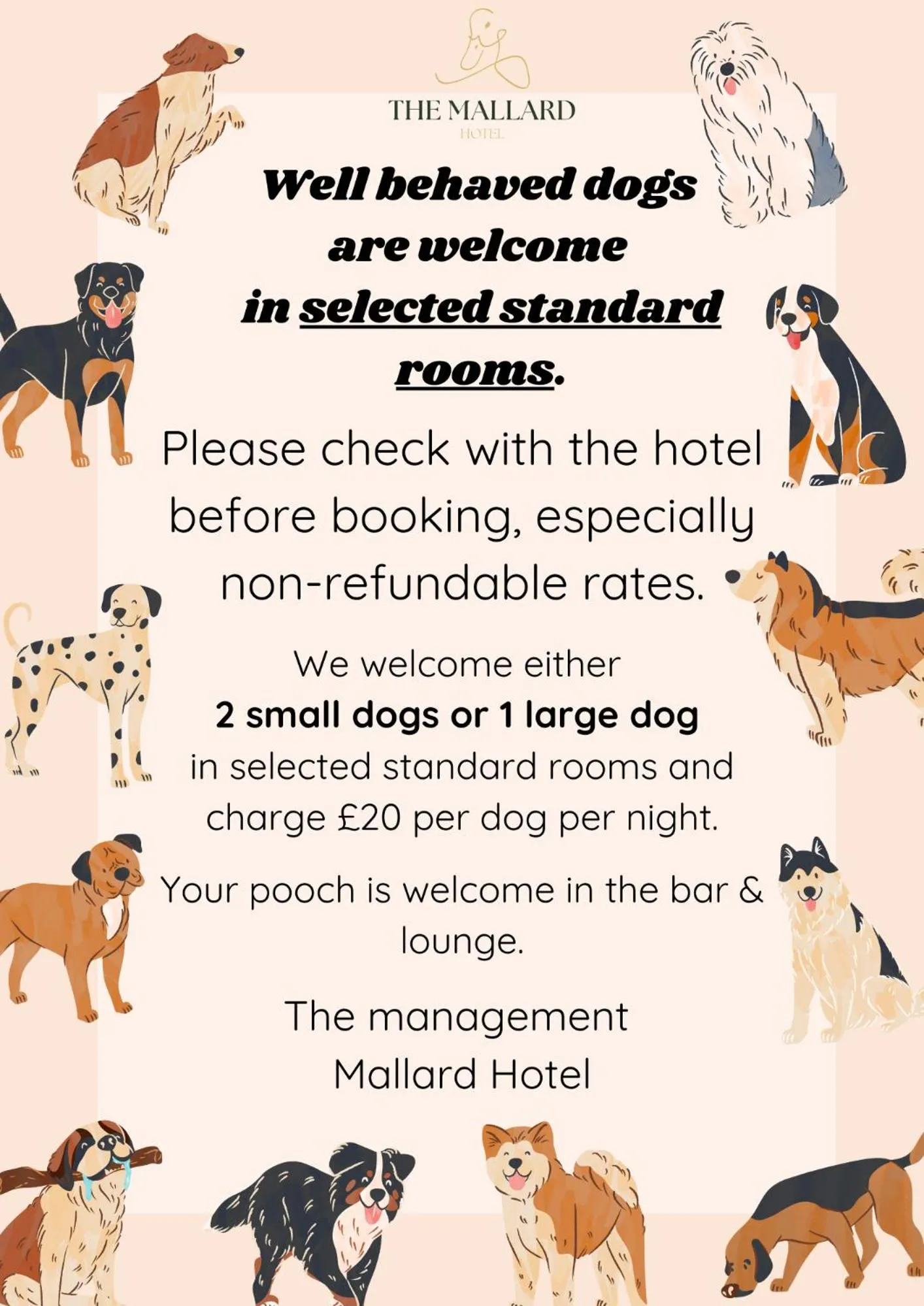Pets in The Watchman Hotel