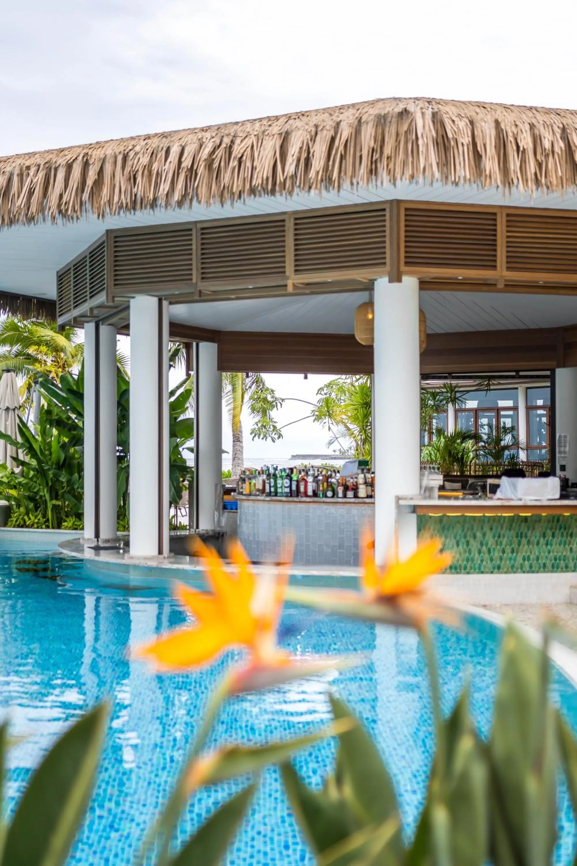 Lounge or bar in Hilton Hotel Tahiti