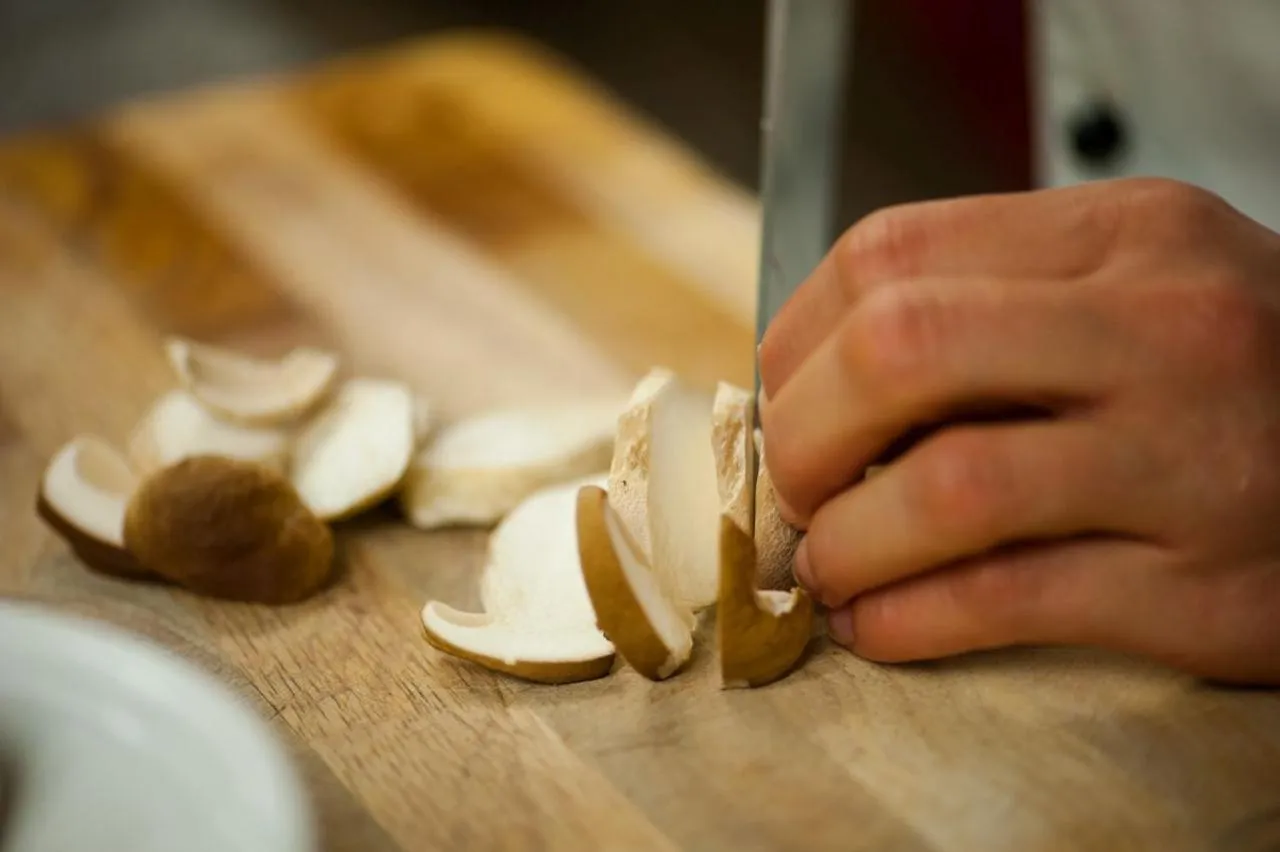 Gasthaus Sindel-Buckel