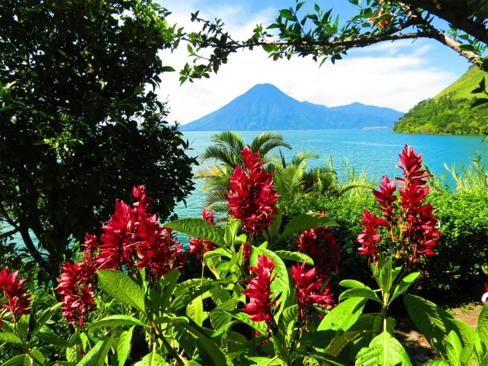 View (from property/room) in Hotel & Restaurante Arca de Noé