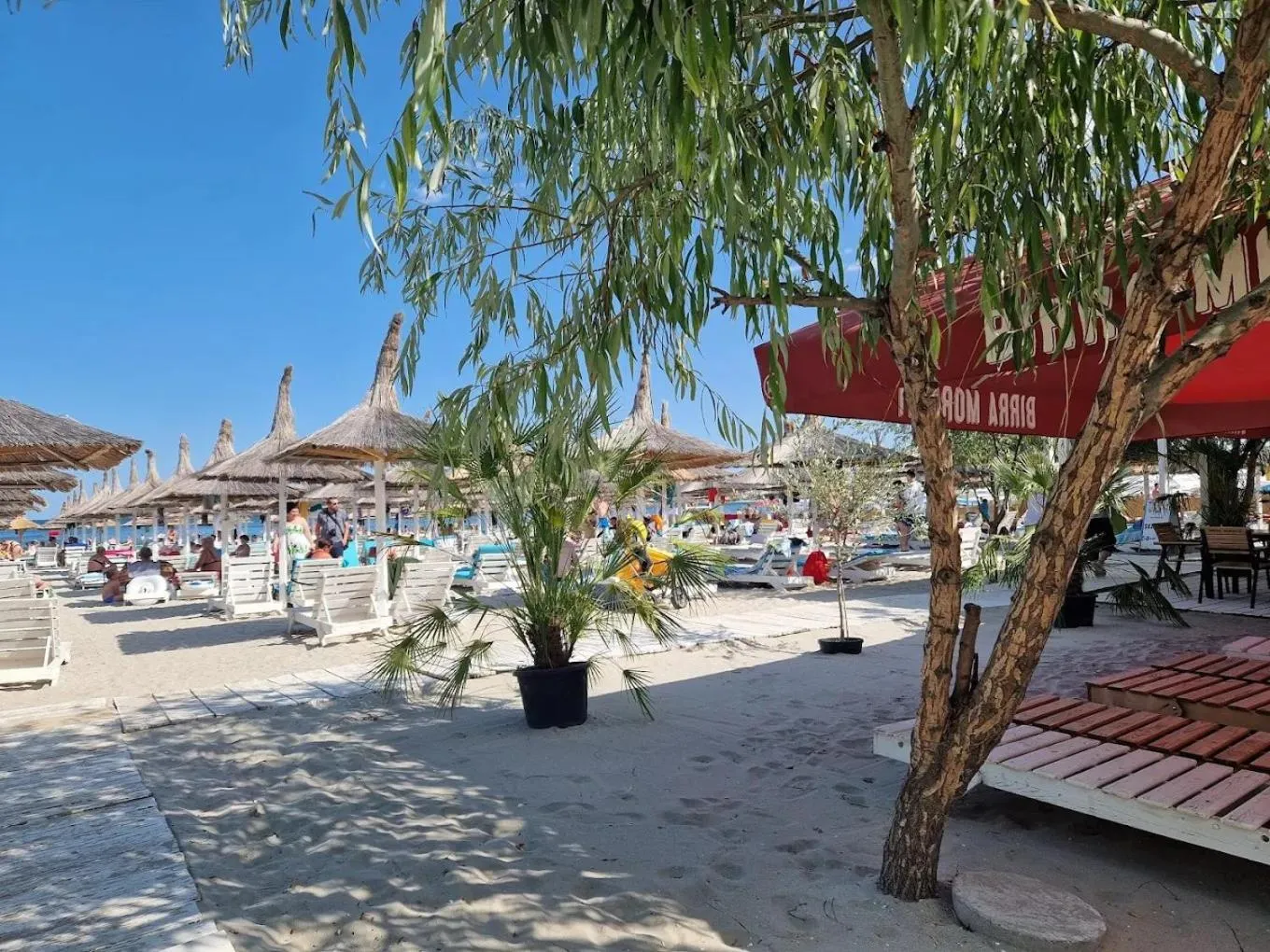 Beach in Roca Del Mar
