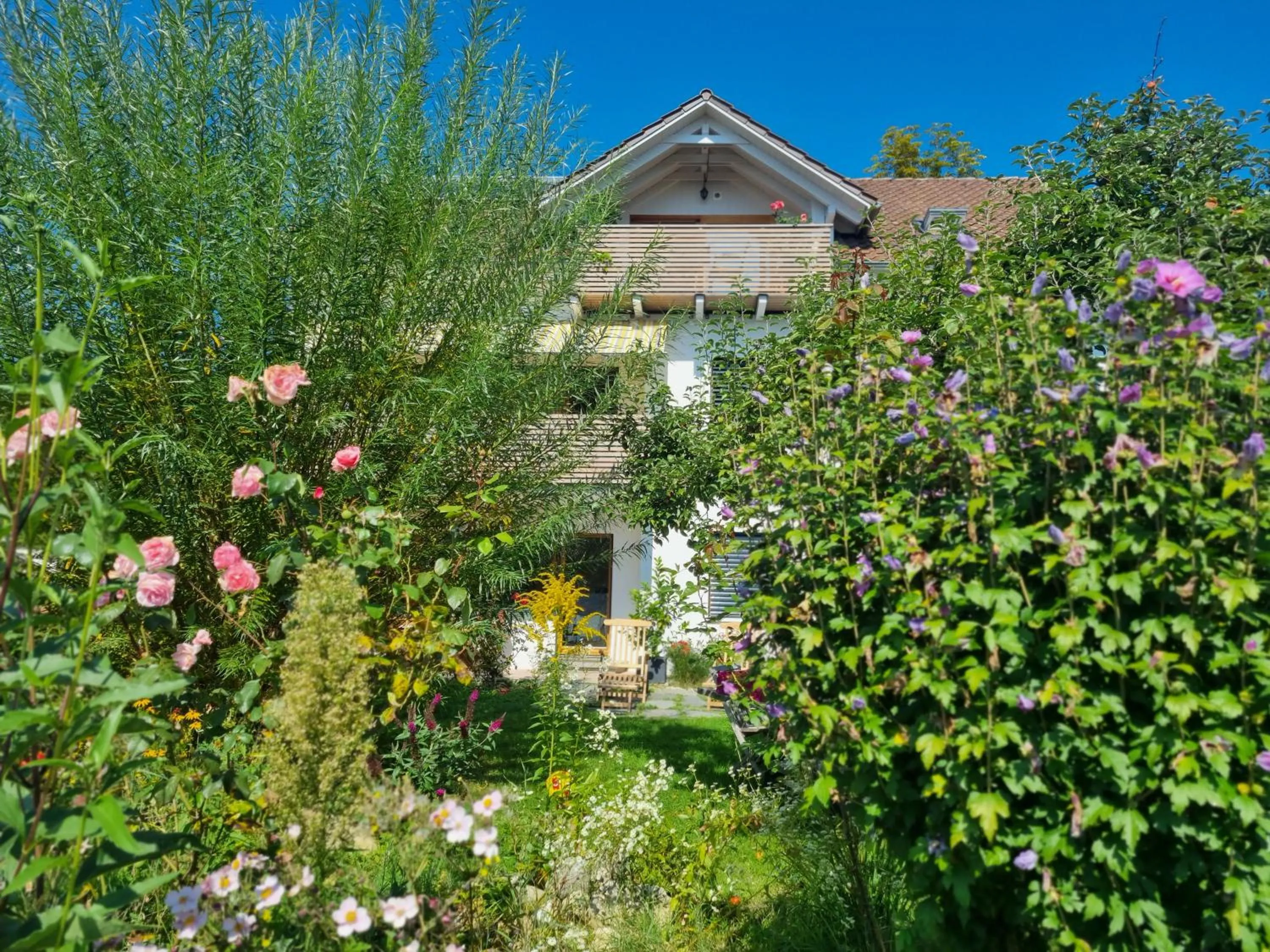 Traumhafte Gartenwohnung in Überlinger Hanglage - Zur goldenen Kiwi