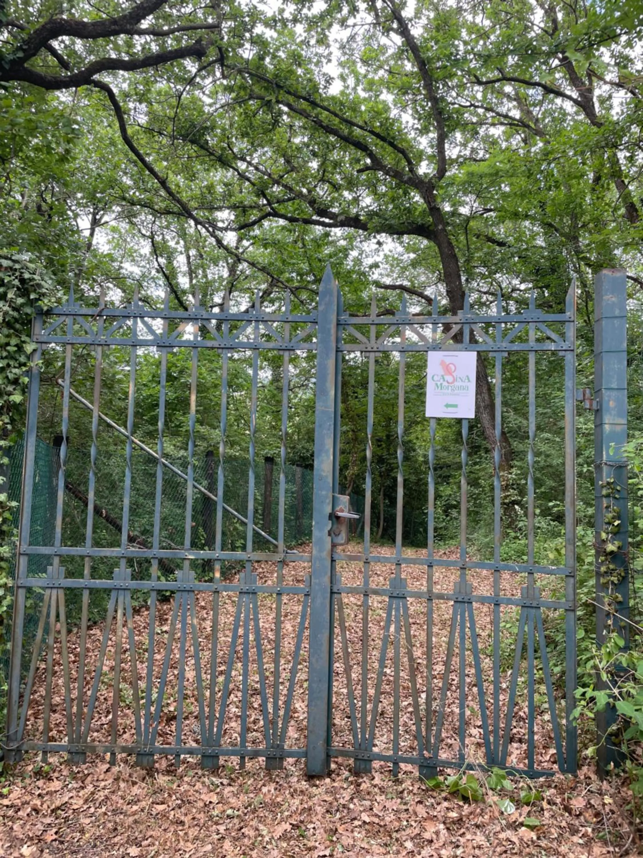 Casina Morgana B&B