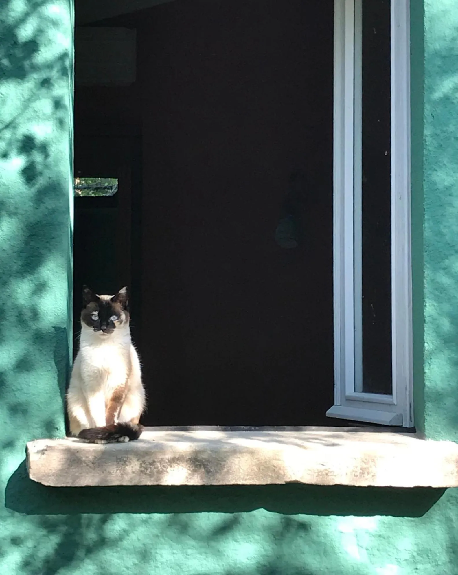 Property building in Casina Morgana B&B