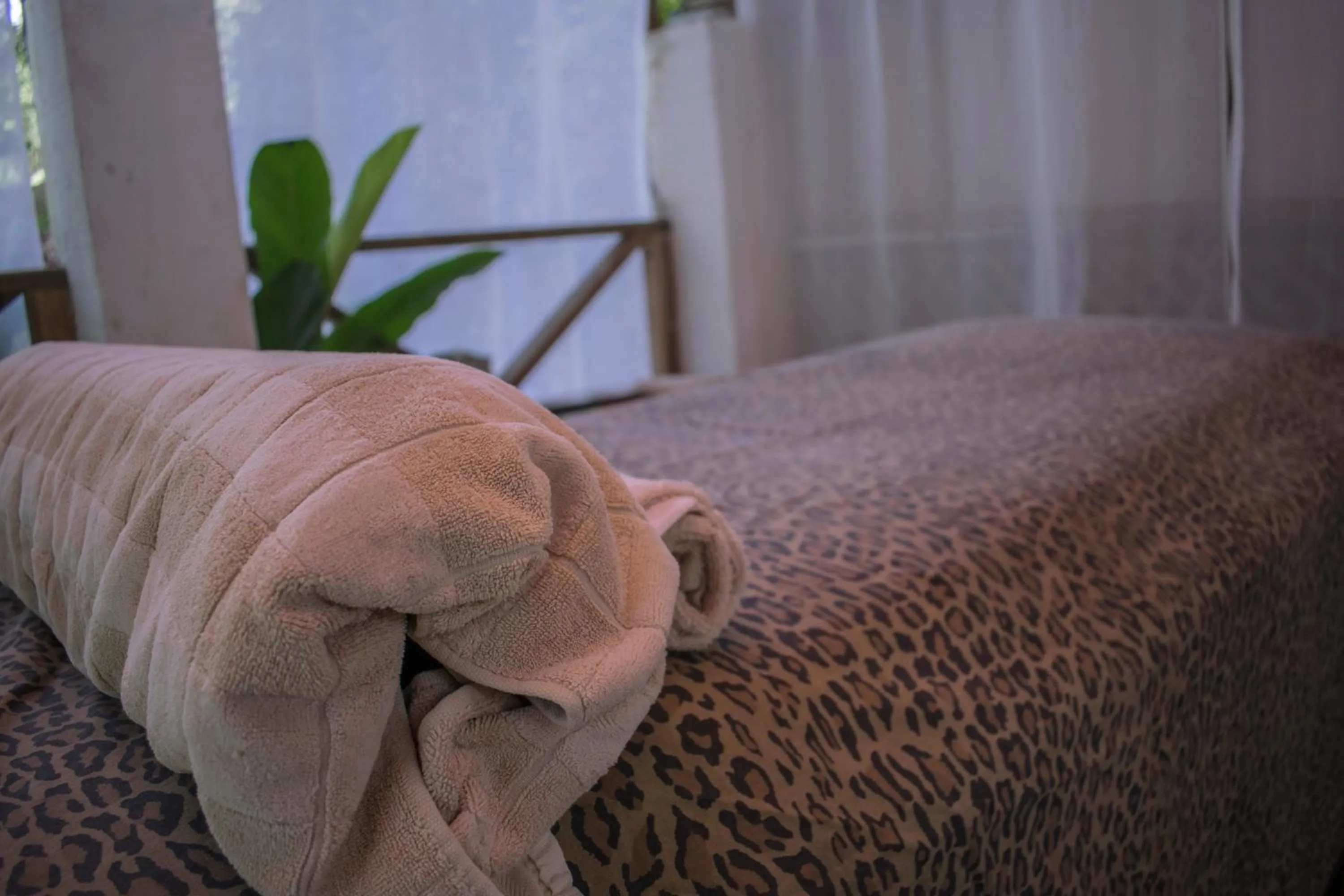 Area and facilities in Hotel Bugabutik