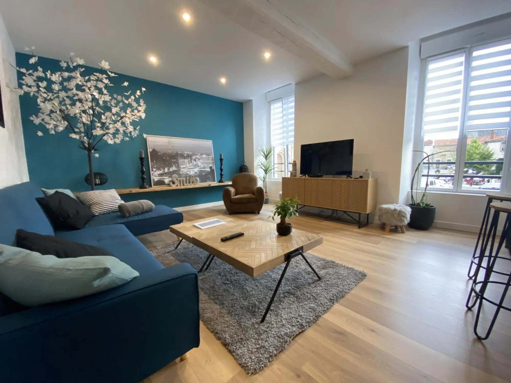 TV and multimedia in Appartement 97 M2 proche Puy du fou