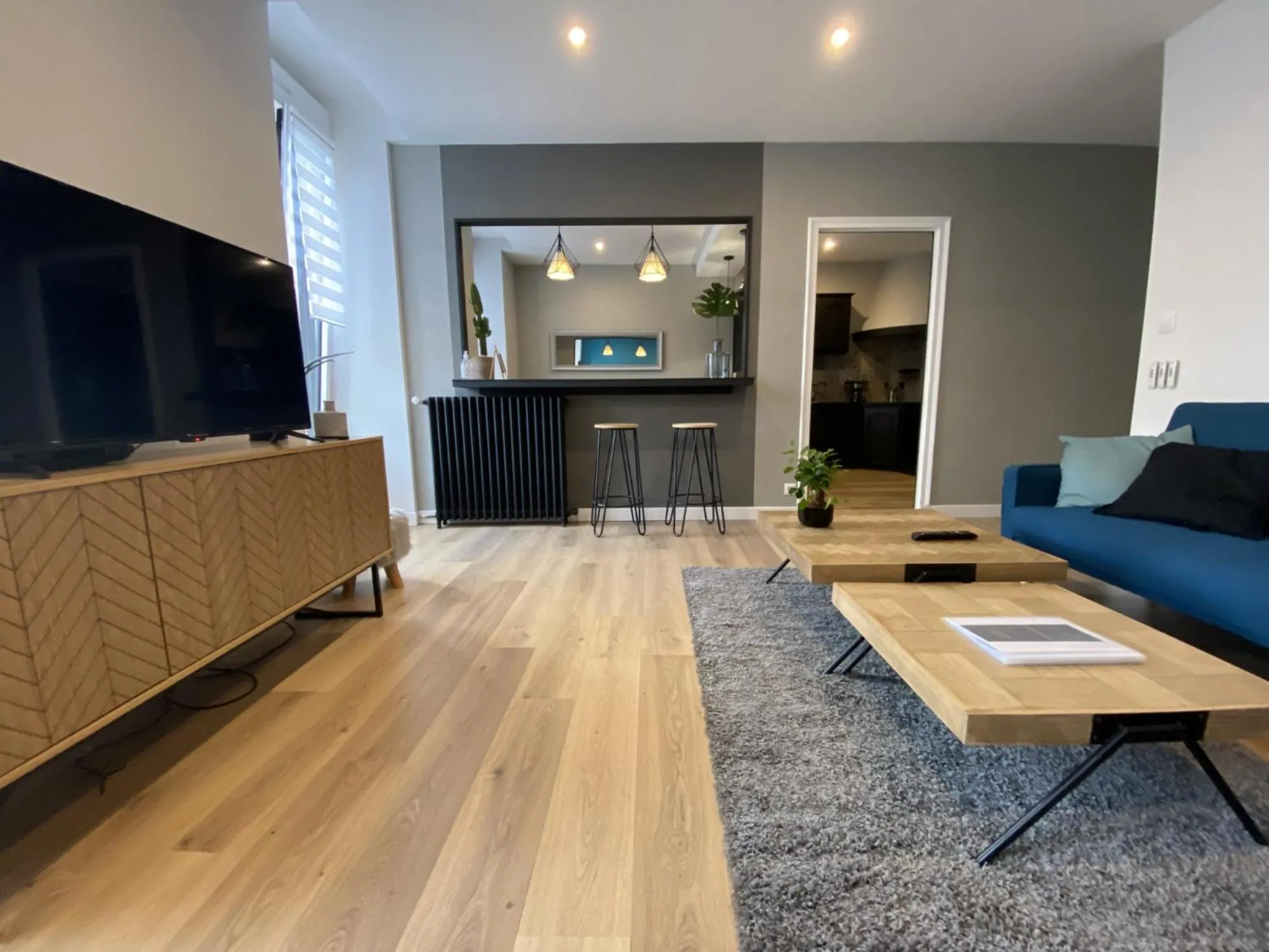 TV and multimedia in Appartement 97 M2 proche Puy du fou