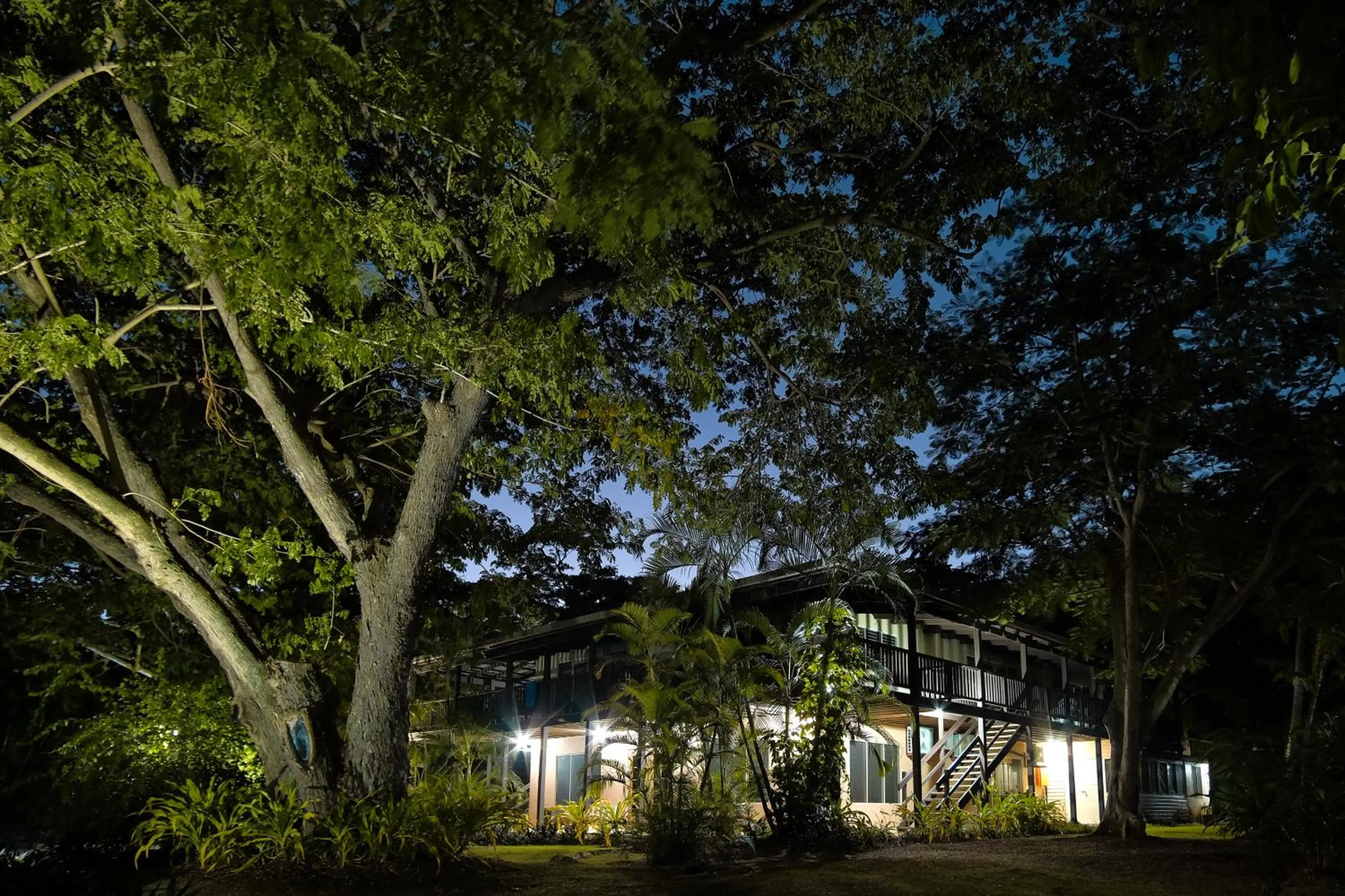 Night in Musket Cove Island Resort