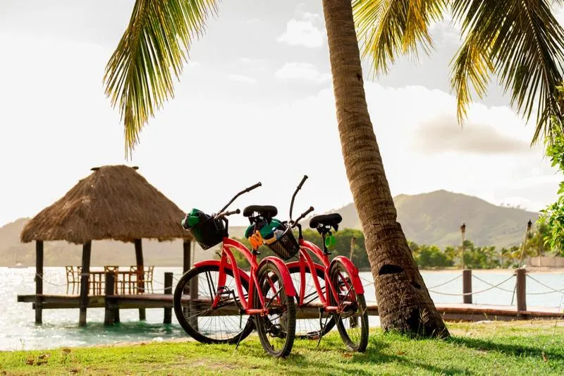 Activities in Musket Cove Island Resort